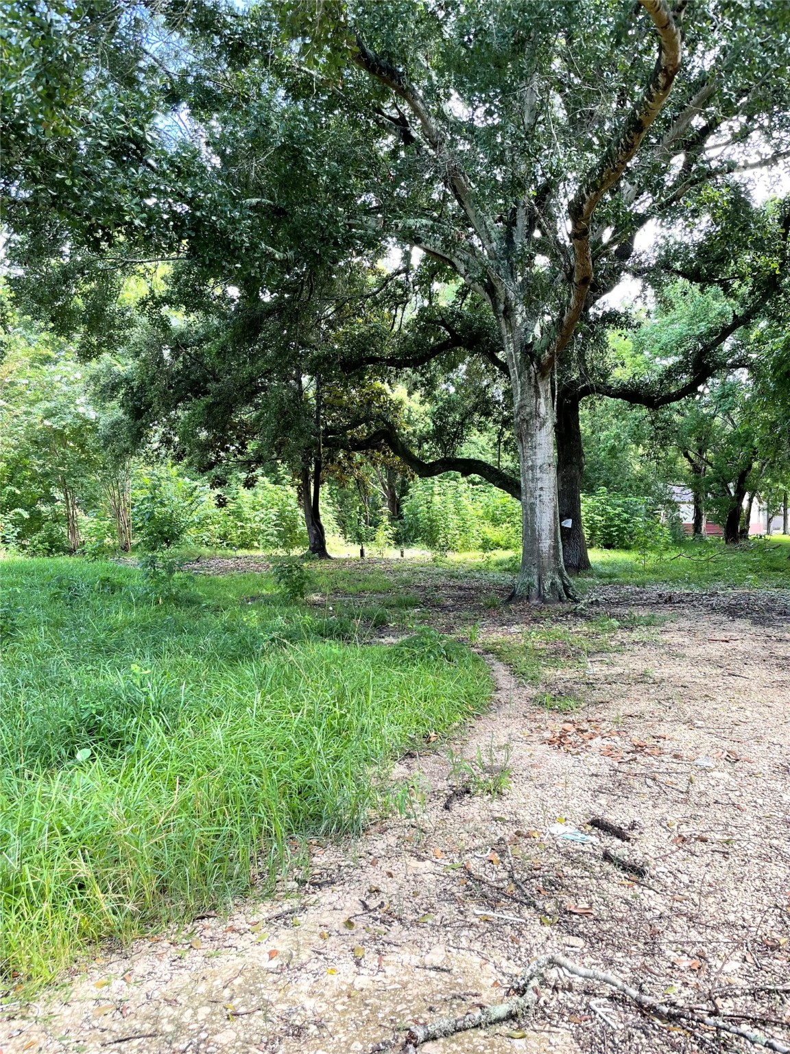 14602 6th Street , Santa Fe, TX, 77517 | 84924099 | Realty Texas LLC