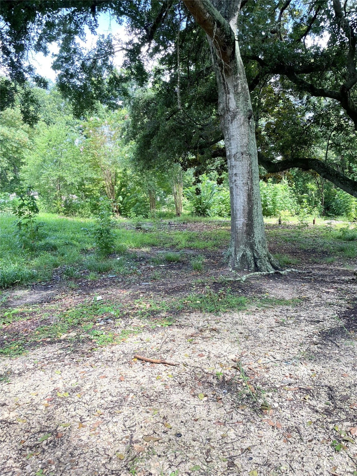 14602 6th Street , Santa Fe, TX, 77517 | 84924099 | Realty Texas LLC