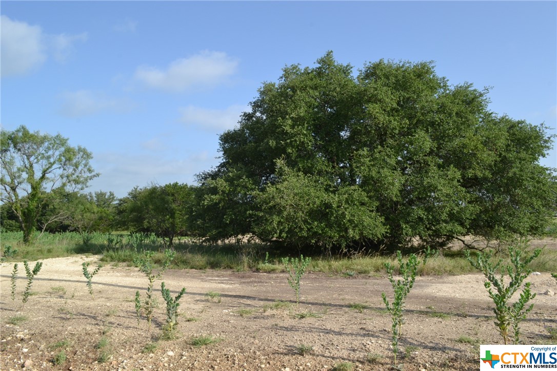 Block 2, Lot 1 Lampasas River Place Phase Two , Kempner, TX, 76539 | 446610 | Realty Texas LLC