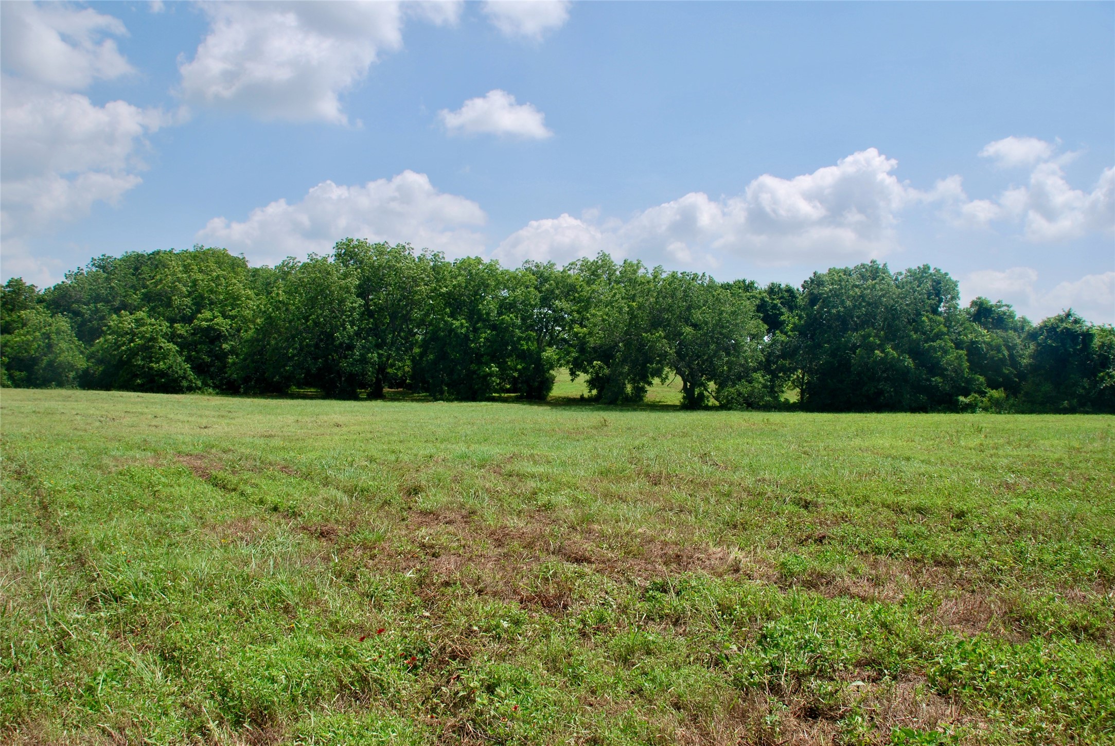 Tract 1 County Road 240 , Waelder, TX, 78959 | 2260181 | Realty Texas LLC
