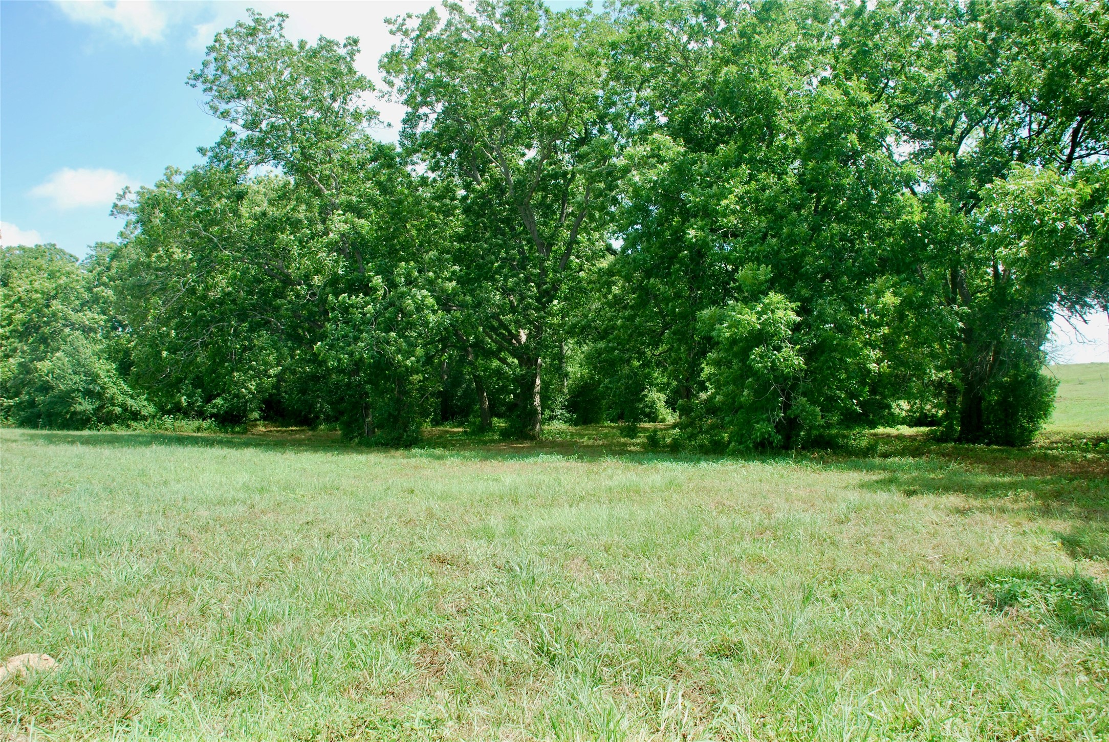 Tract 1 County Road 240 , Waelder, TX, 78959 | 2260181 | Realty Texas LLC