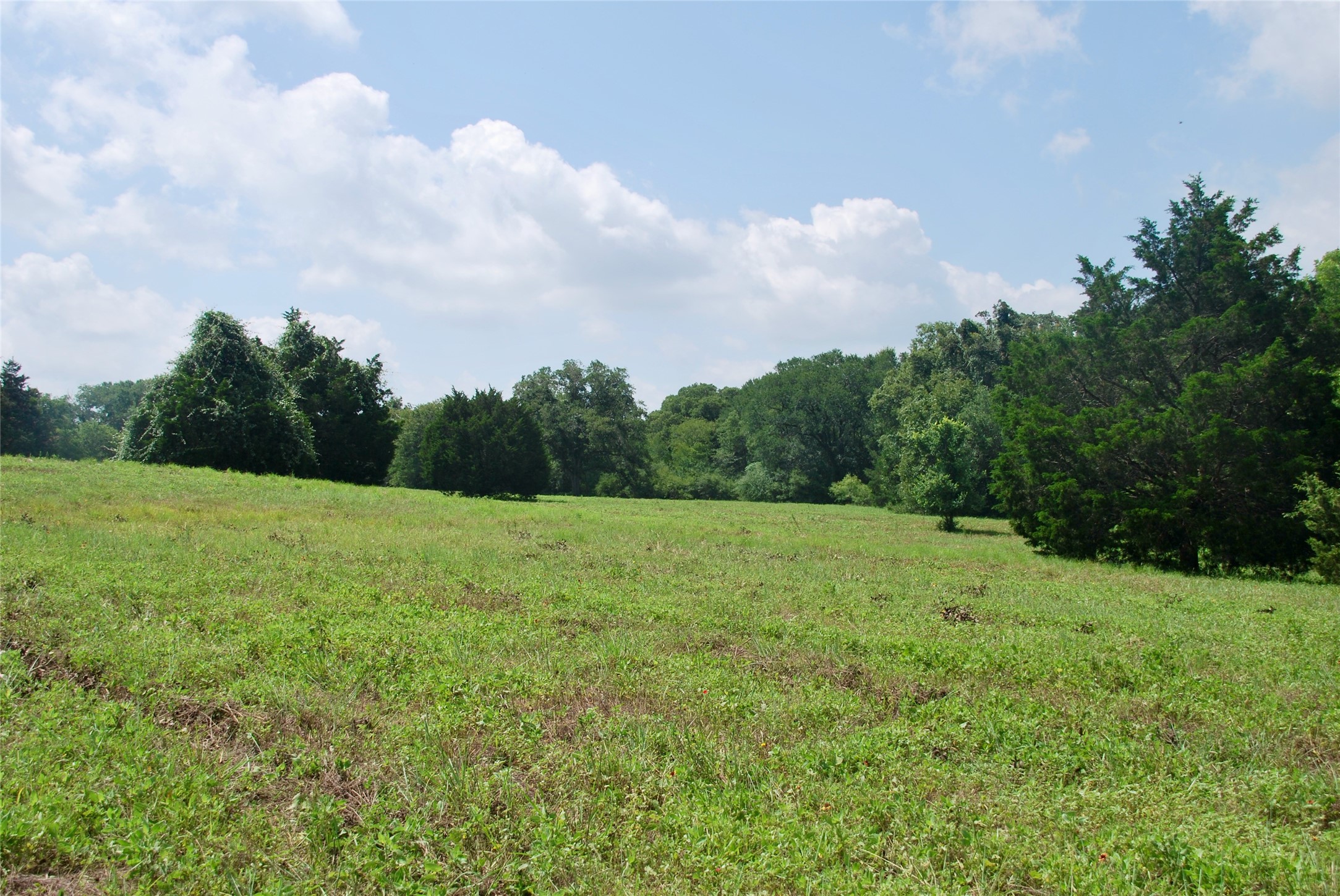 Tract 1 County Road 240 , Waelder, TX, 78959 | 2260181 | Realty Texas LLC