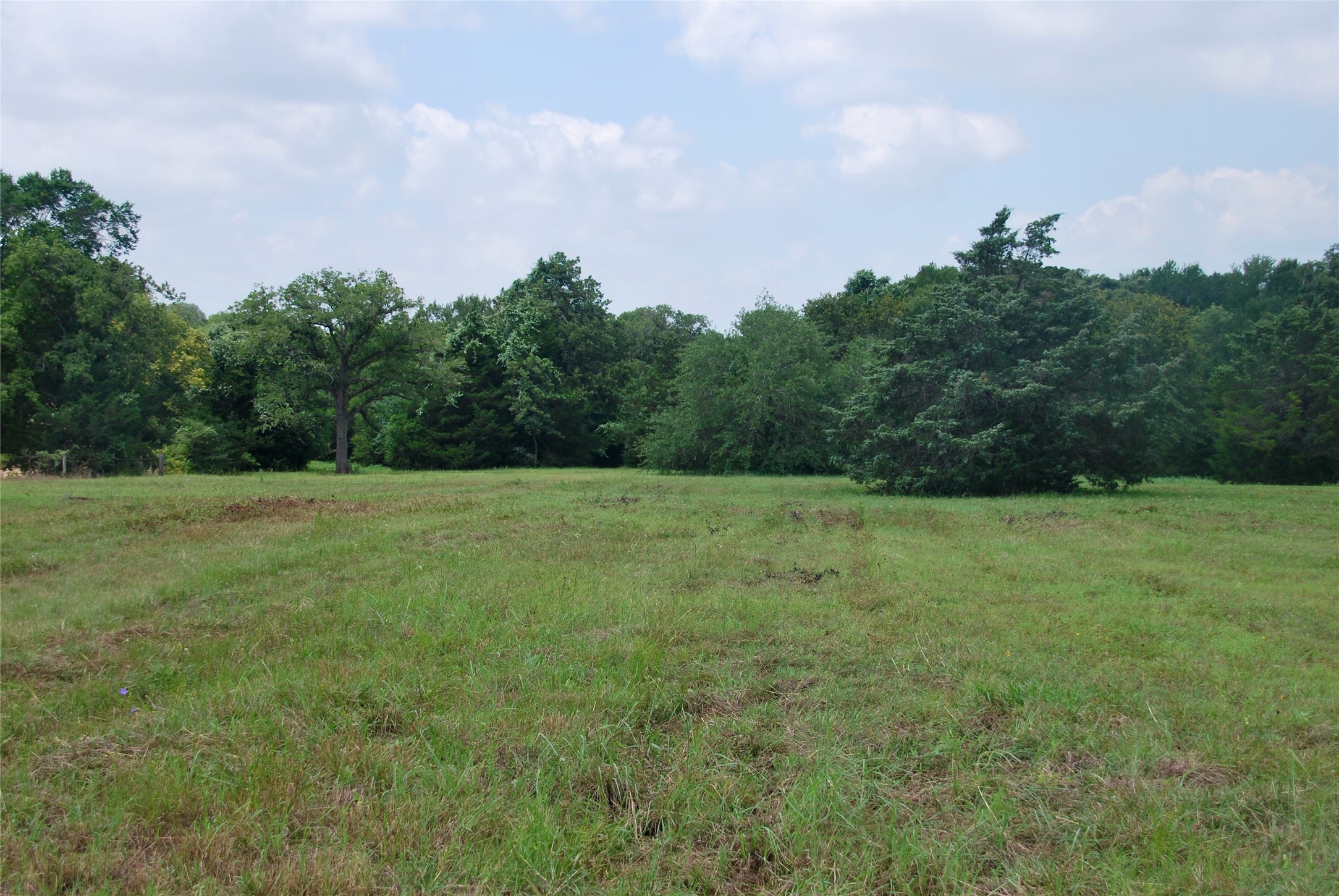 Tract 1 County Road 240 , Waelder, TX, 78959 | 2260181 | Realty Texas LLC