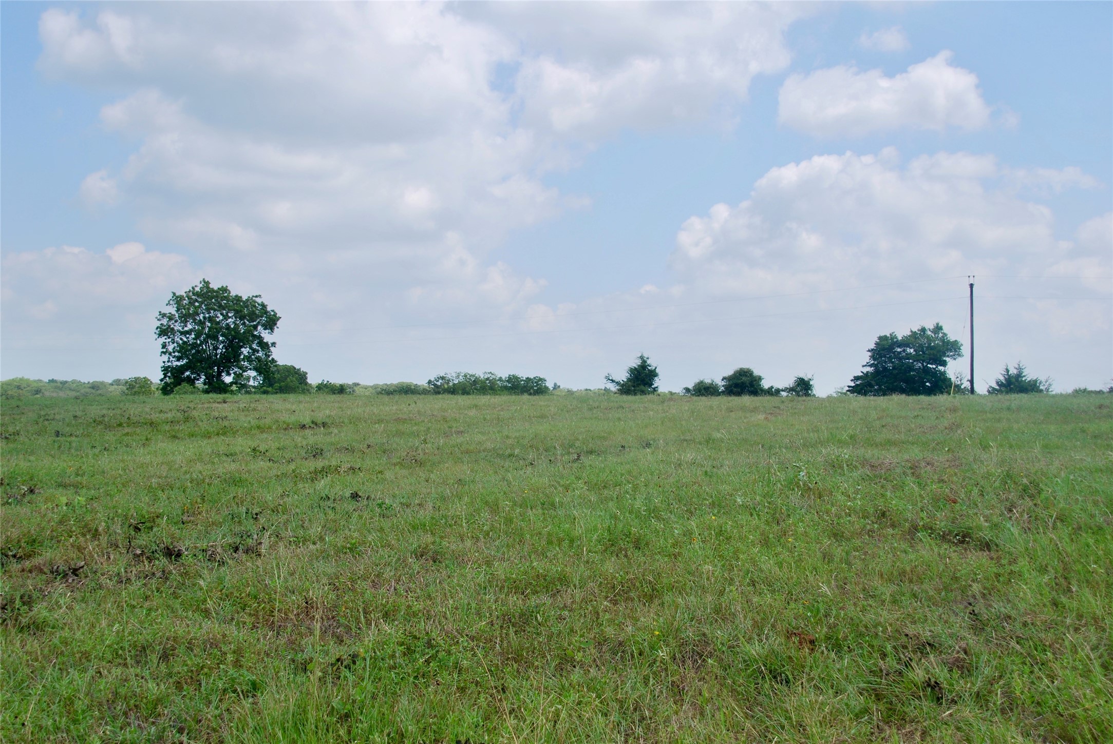 Tract 1 County Road 240 , Waelder, TX, 78959 | 2260181 | Realty Texas LLC