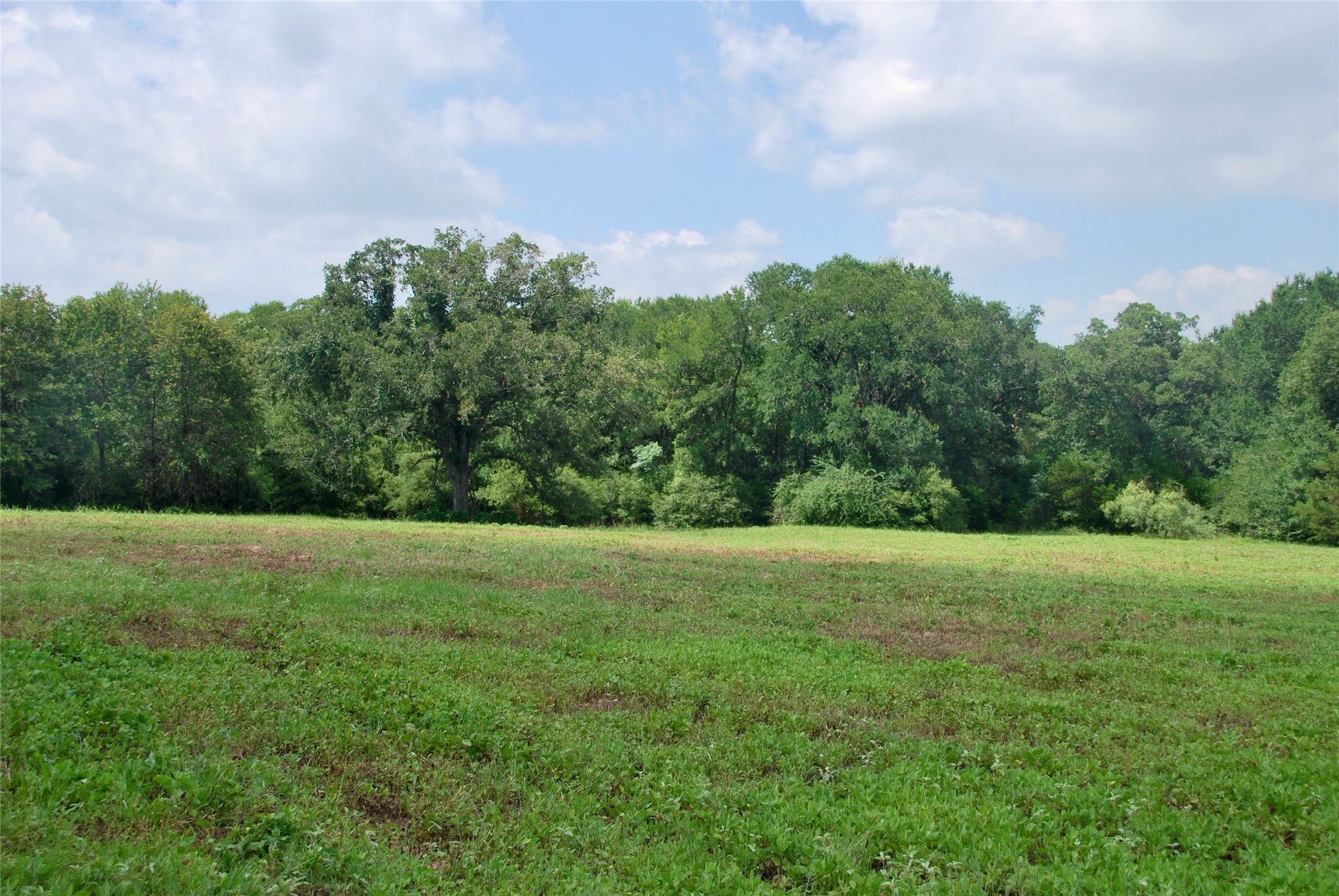 Tract 1 County Road 240 , Waelder, TX, 78959 | 2260181 | Realty Texas LLC