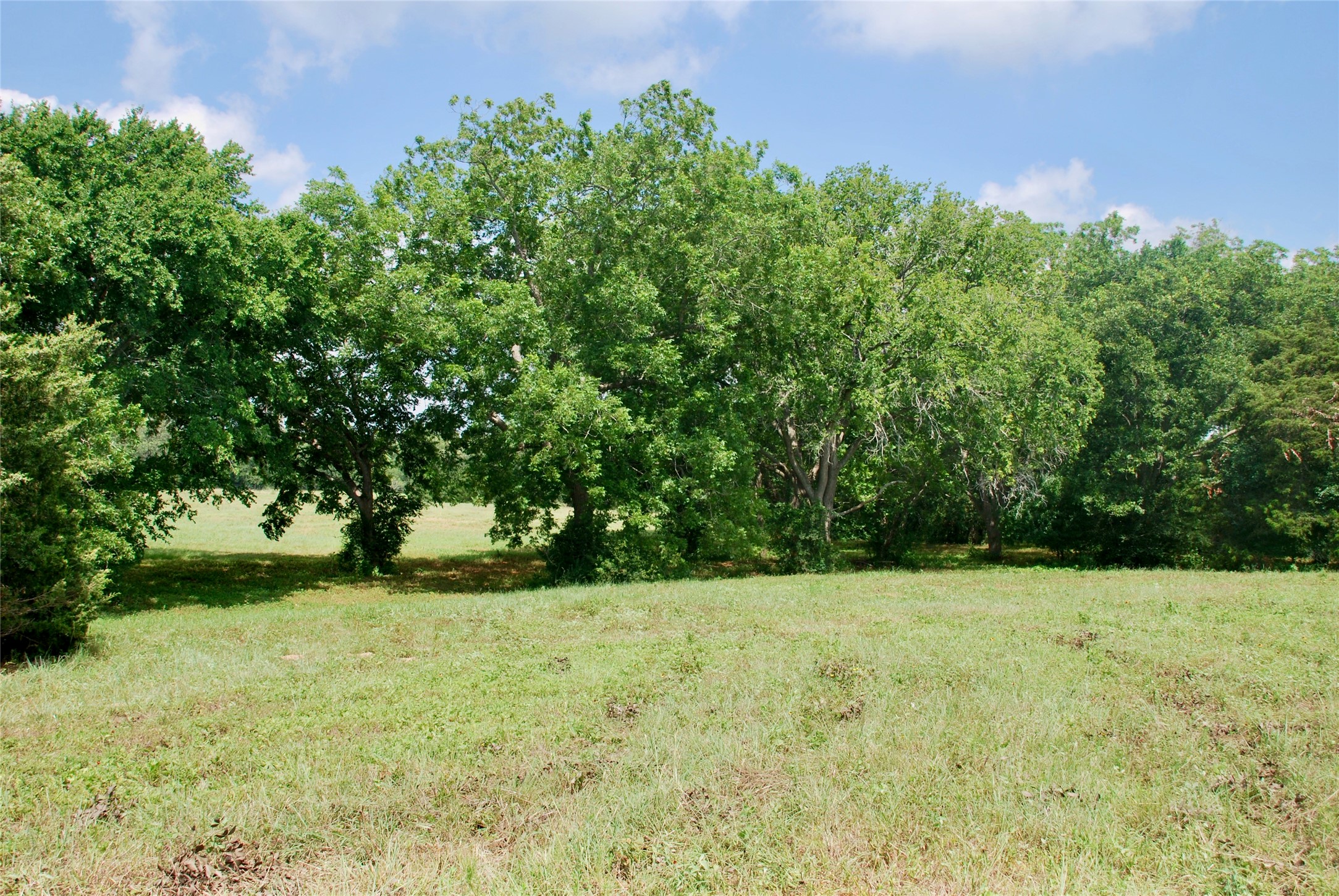 Tract 1 County Road 240 , Waelder, TX, 78959 | 2260181 | Realty Texas LLC