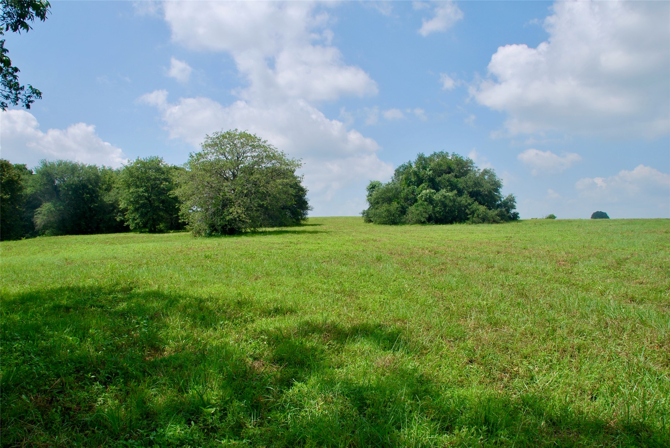 Tract 1 County Road 240 , Waelder, TX, 78959 | 2260181 | Realty Texas LLC