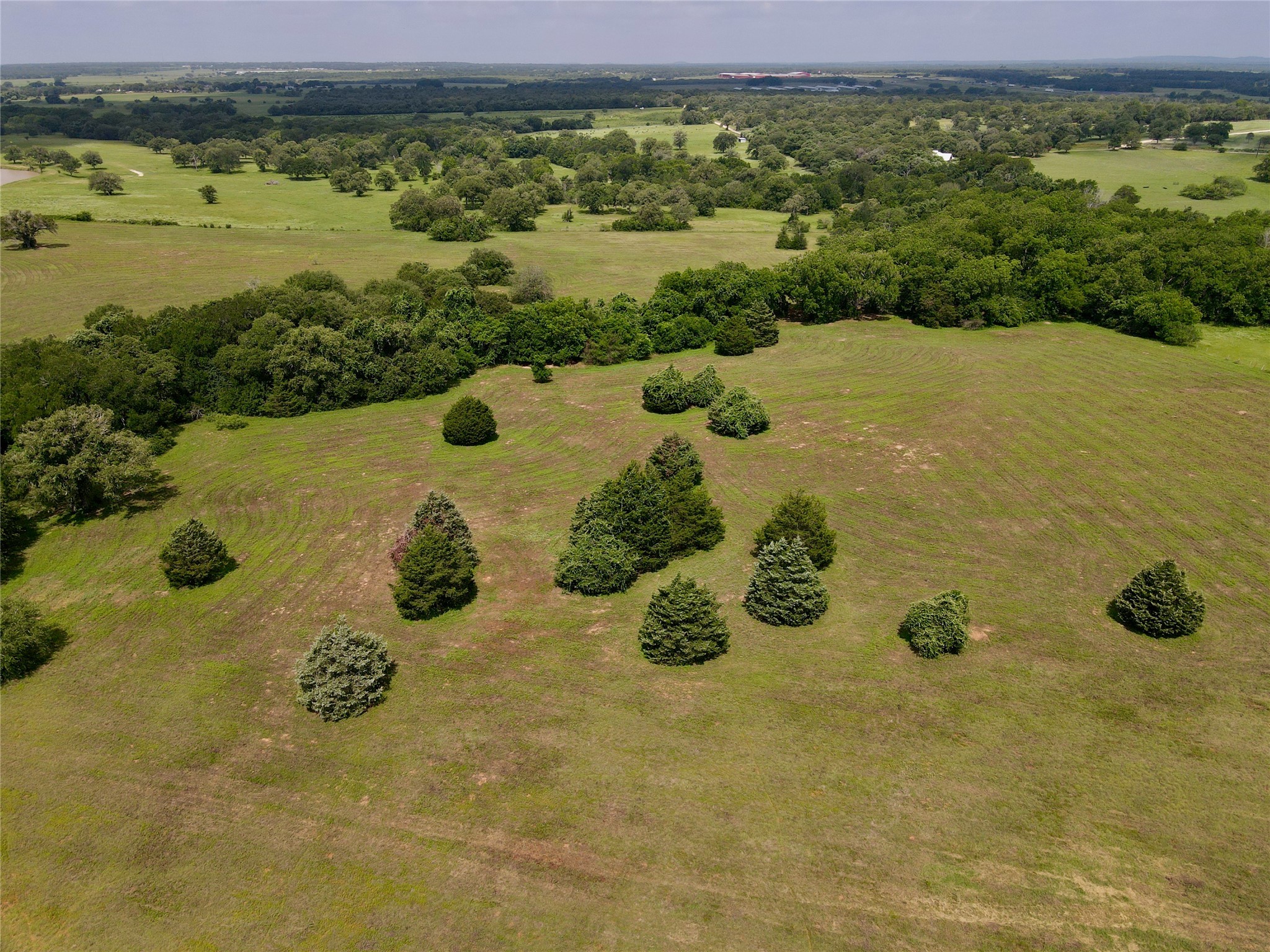 Tract 1 County Road 240 , Waelder, TX, 78959 | 2260181 | Realty Texas LLC
