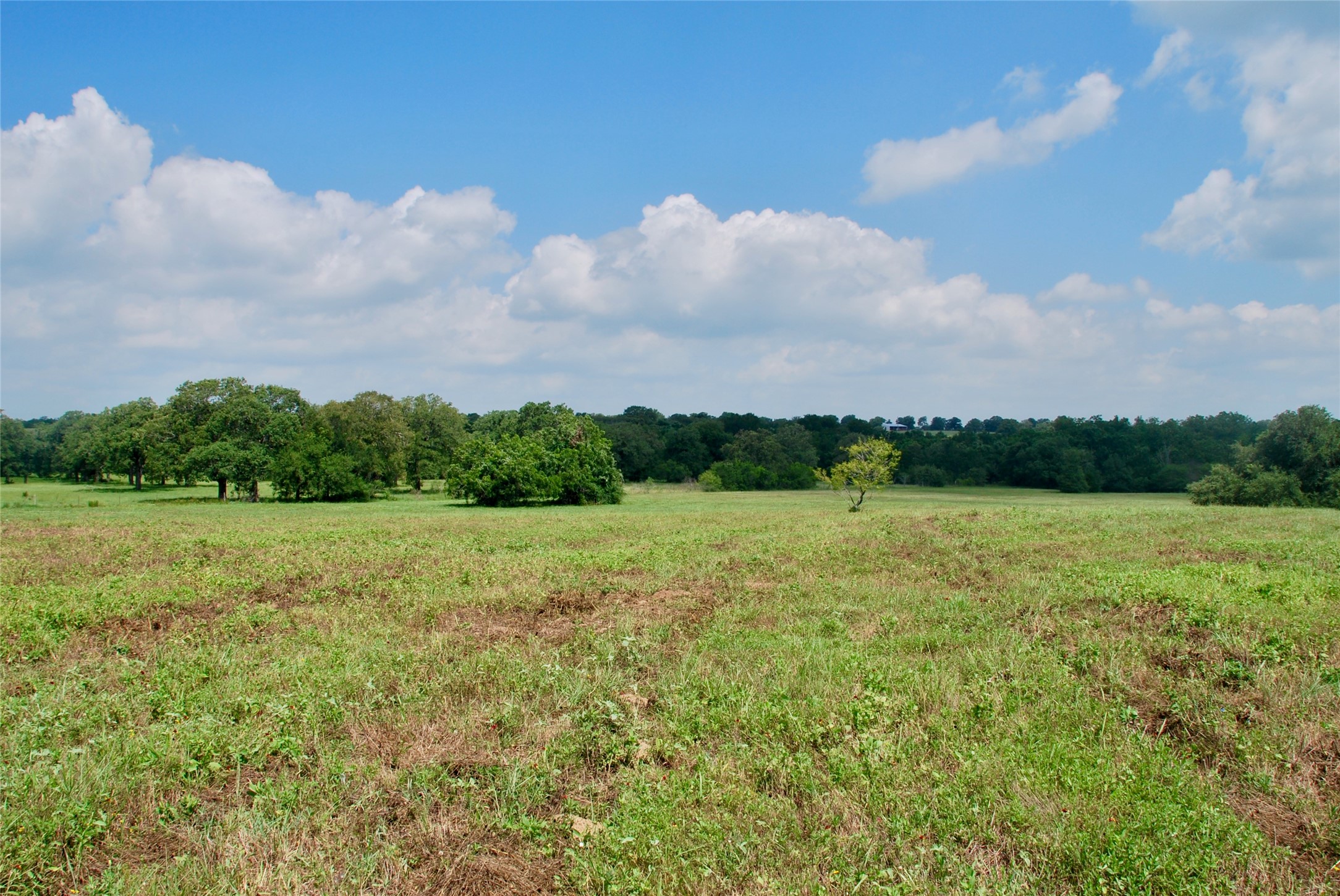 Tract 1 County Road 240 , Waelder, TX, 78959 | 2260181 | Realty Texas LLC