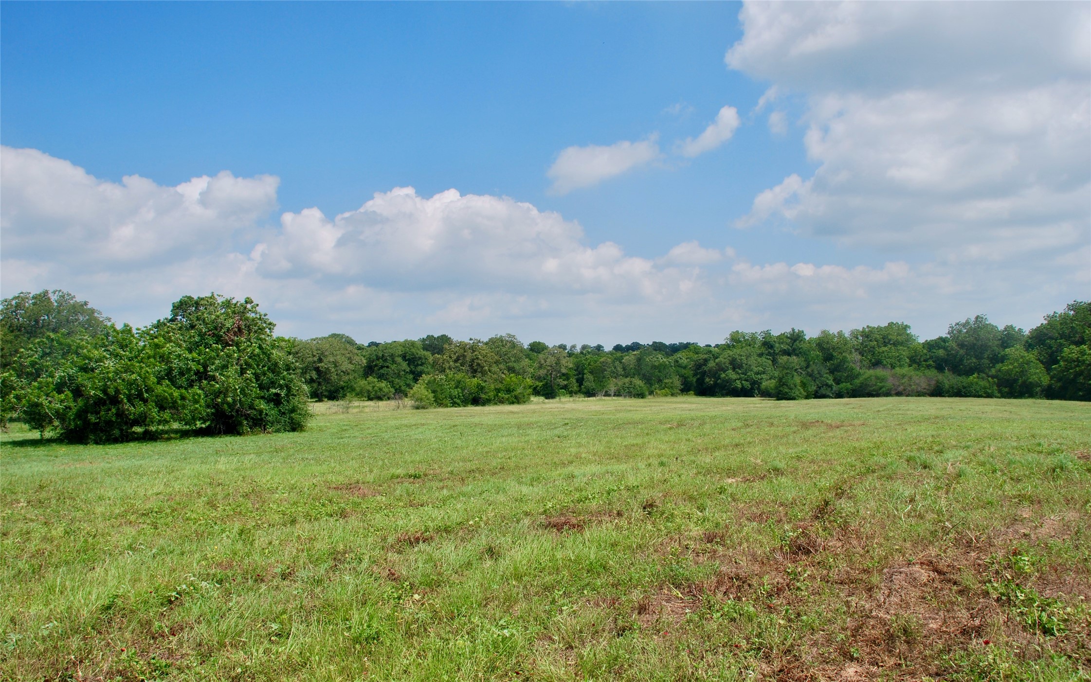Tract 1 County Road 240 , Waelder, TX, 78959 | 2260181 | Realty Texas LLC