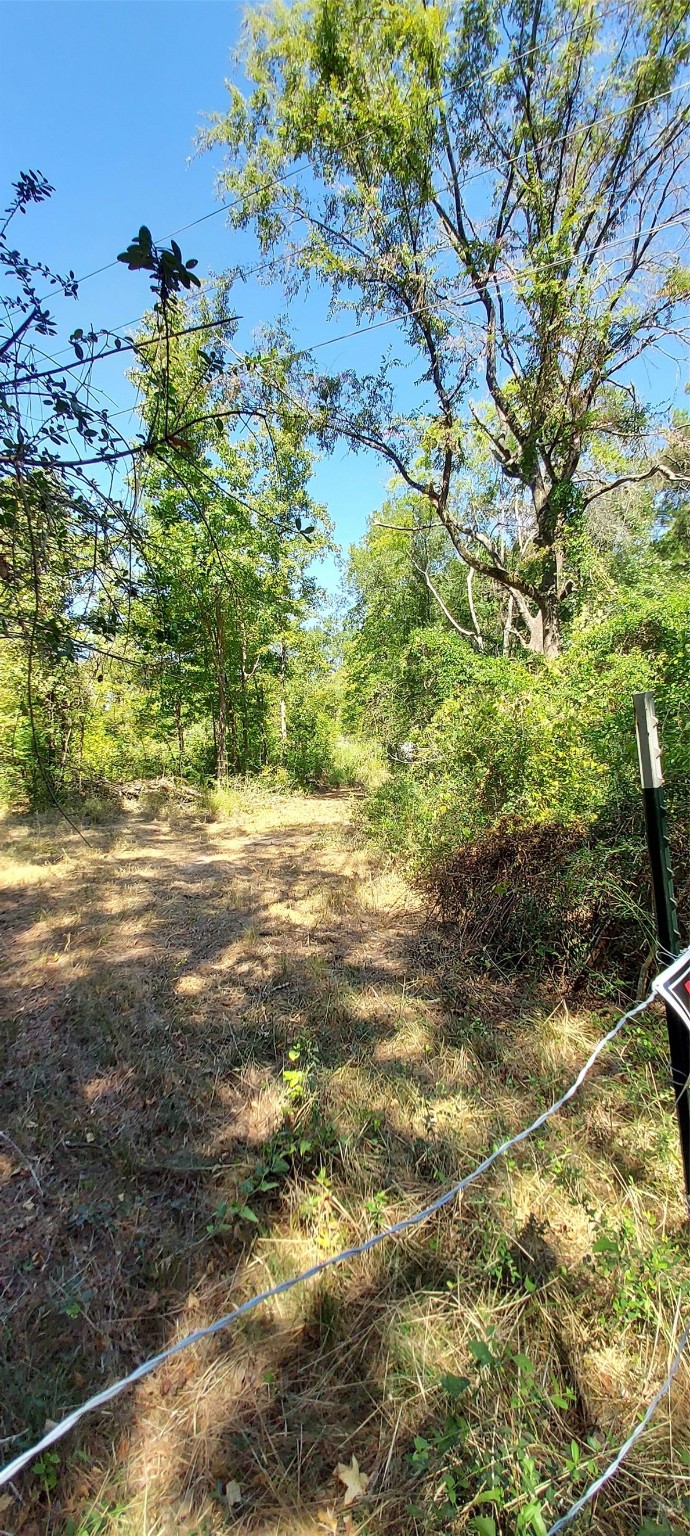 6315 E FM 1280 , Lovelady, TX, 75851 | 2781170 | Realty Texas LLC