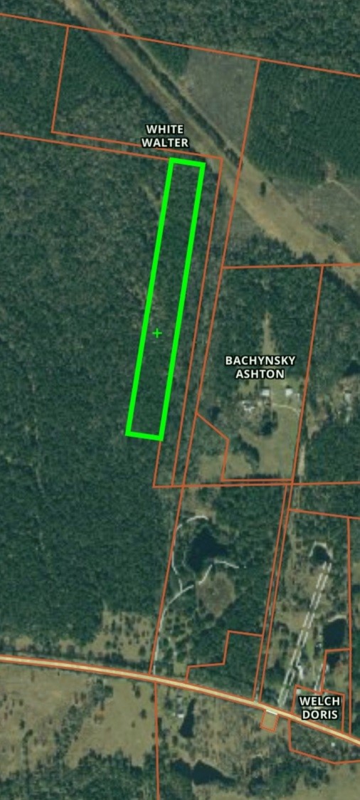 6315 E FM 1280 , Lovelady, TX, 75851 | 2781170 | Realty Texas LLC