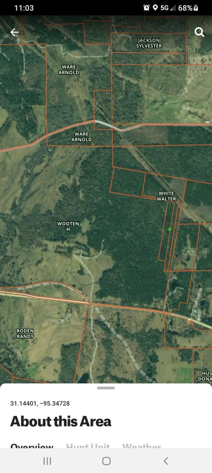 6315 E FM 1280 , Lovelady, TX, 75851 | 2781170 | Realty Texas LLC