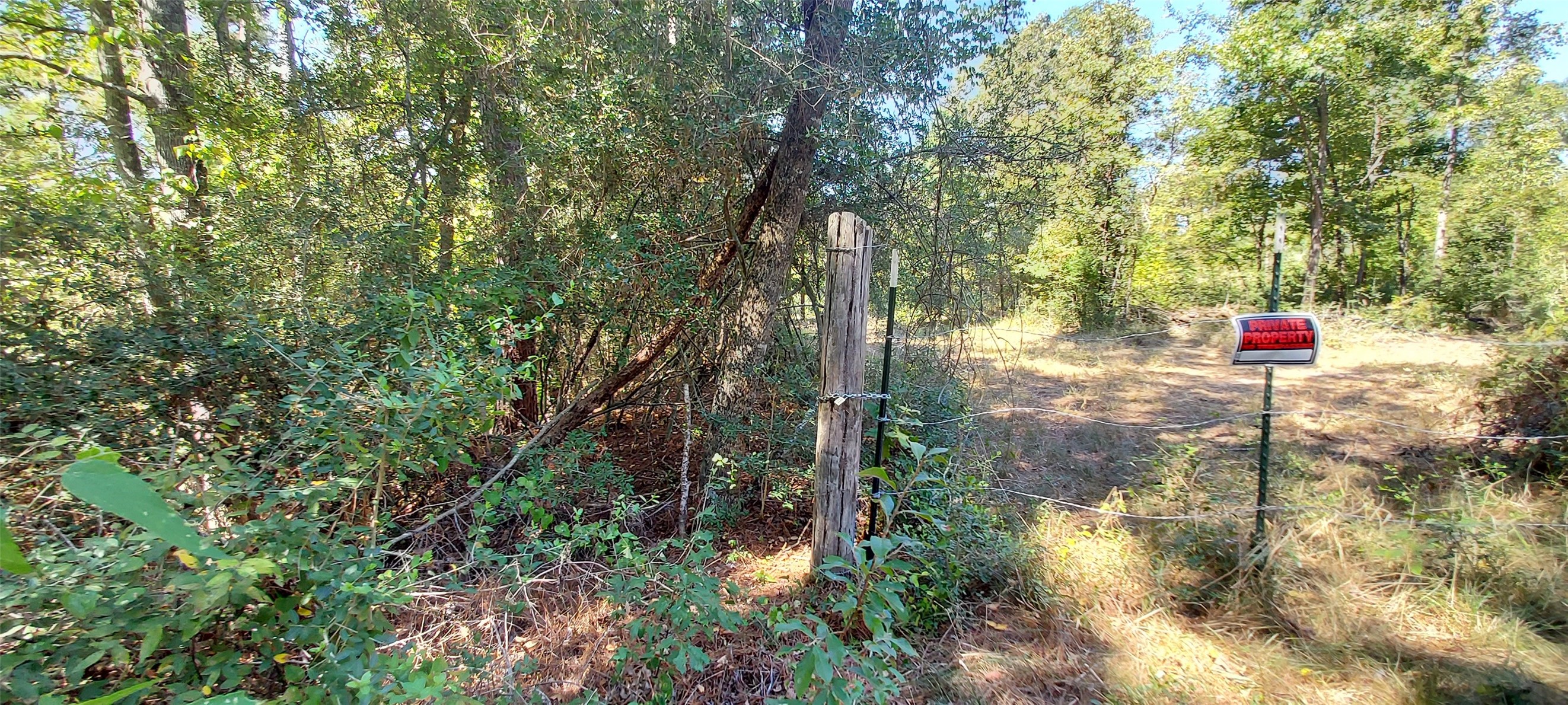 6315 E FM 1280 , Lovelady, TX, 75851 | 2781170 | Realty Texas LLC