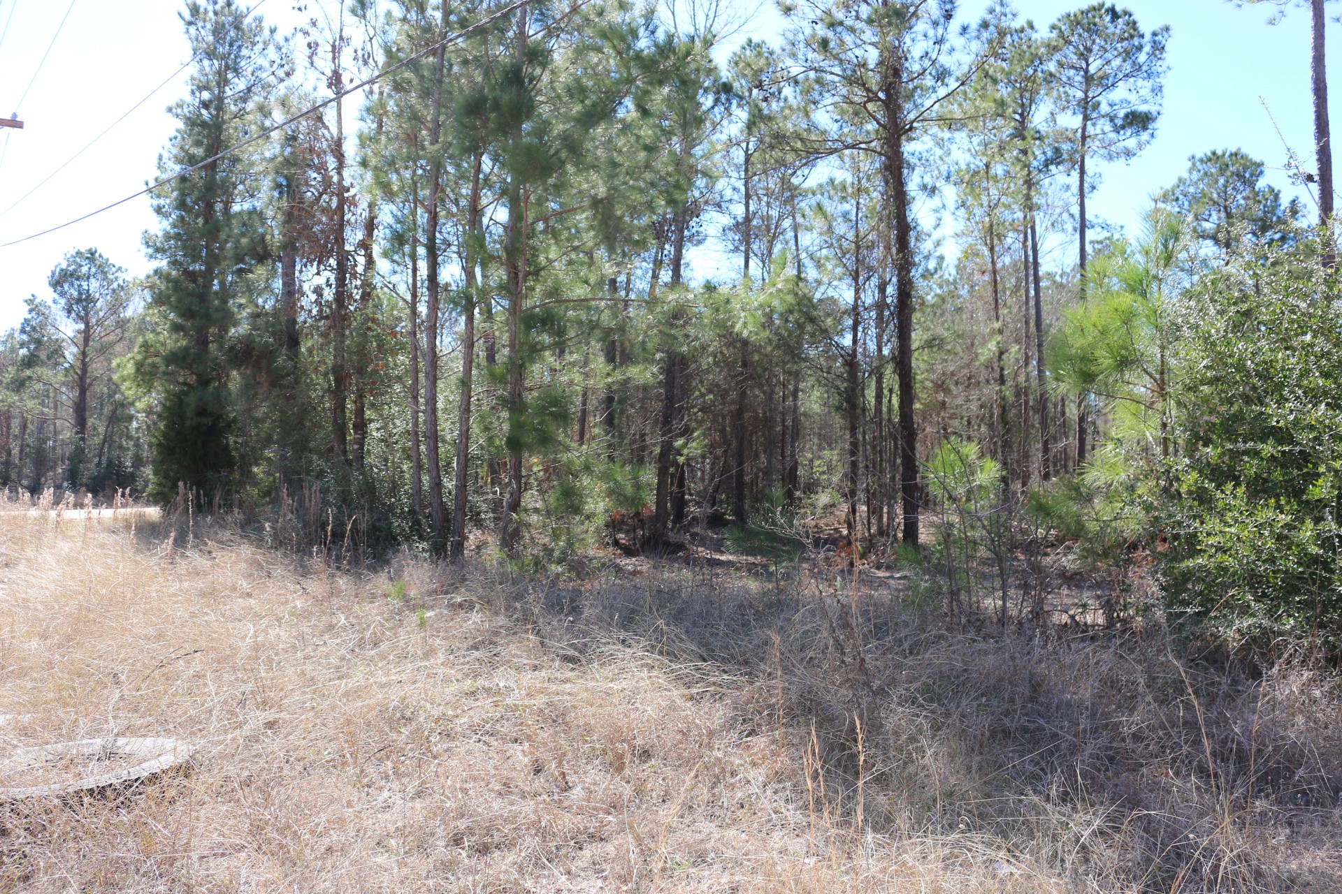 6-2 N HWY 356 , Onalaska, TX, 77360 | 92917158 | Realty Texas LLC