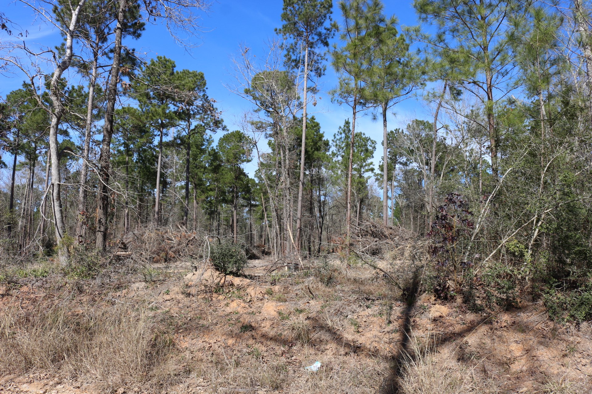 6-2 N HWY 356 , Onalaska, TX, 77360 | 92917158 | Realty Texas LLC