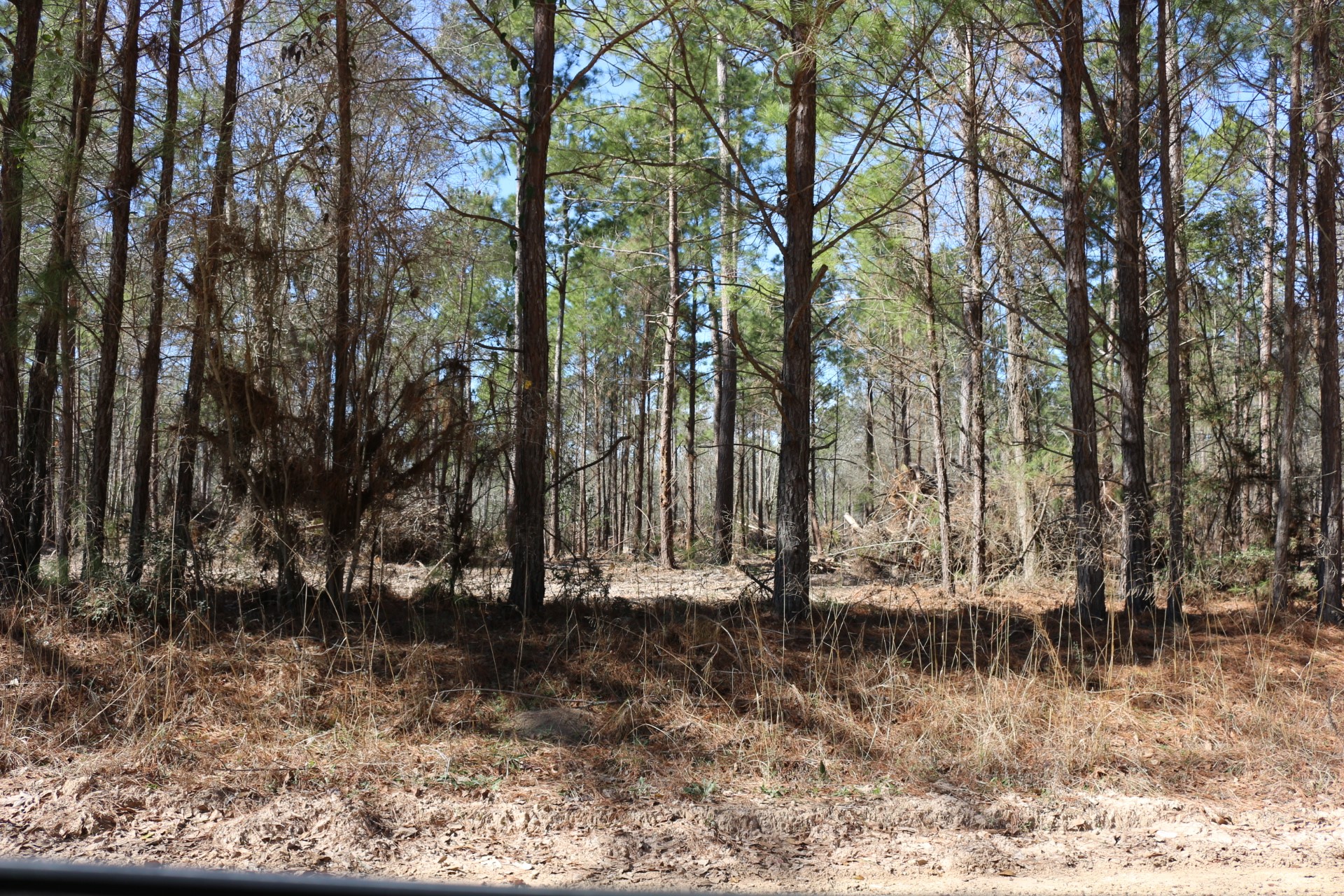 5-2 N HWY 356 , Onalaska, TX, 77360 | 44748278 | Realty Texas LLC