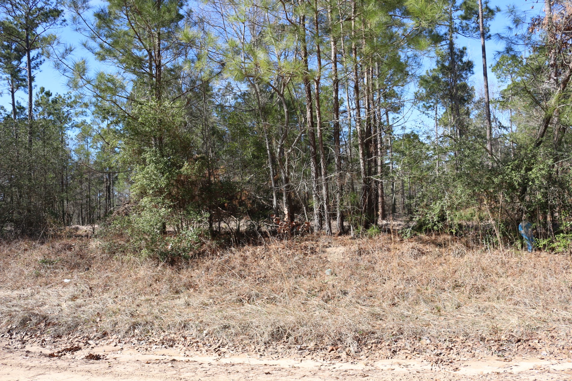 5-2 N HWY 356 , Onalaska, TX, 77360 | 44748278 | Realty Texas LLC