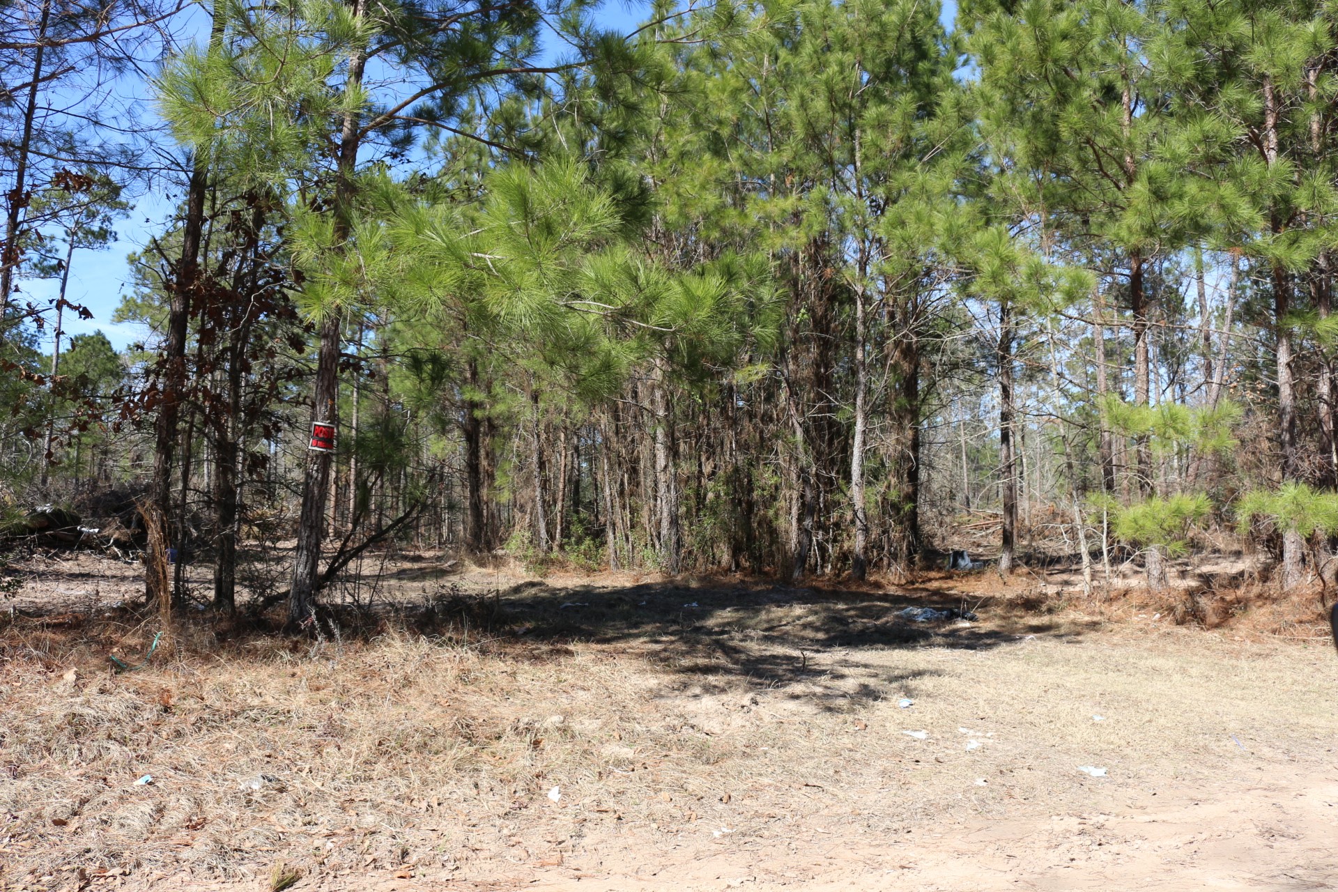 5-2 N HWY 356 , Onalaska, TX, 77360 | 44748278 | Realty Texas LLC