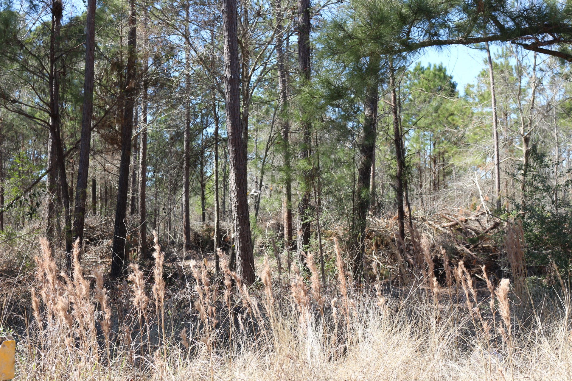 5-2 N HWY 356 , Onalaska, TX, 77360 | 44748278 | Realty Texas LLC