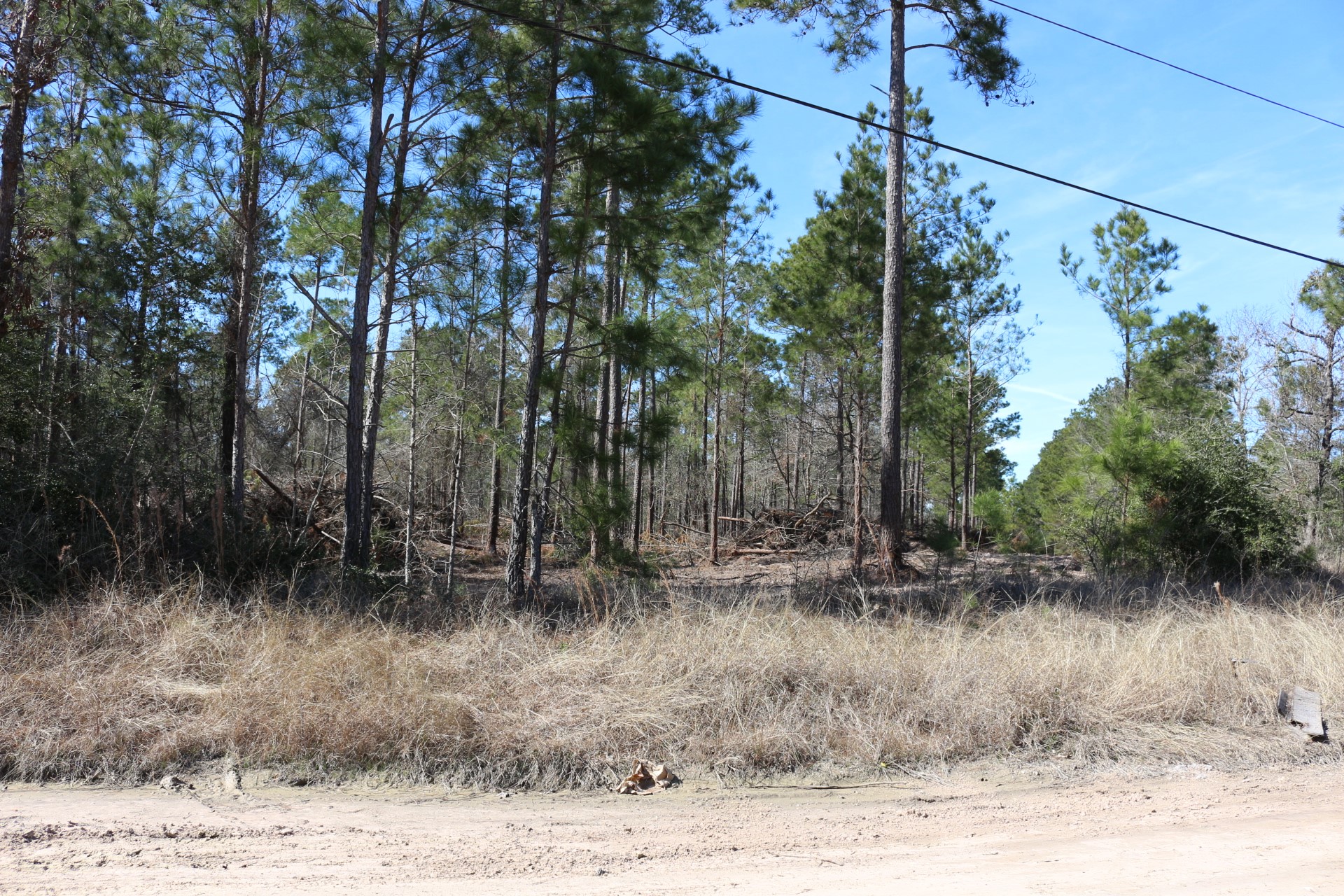 5-2 N HWY 356 , Onalaska, TX, 77360 | 44748278 | Realty Texas LLC