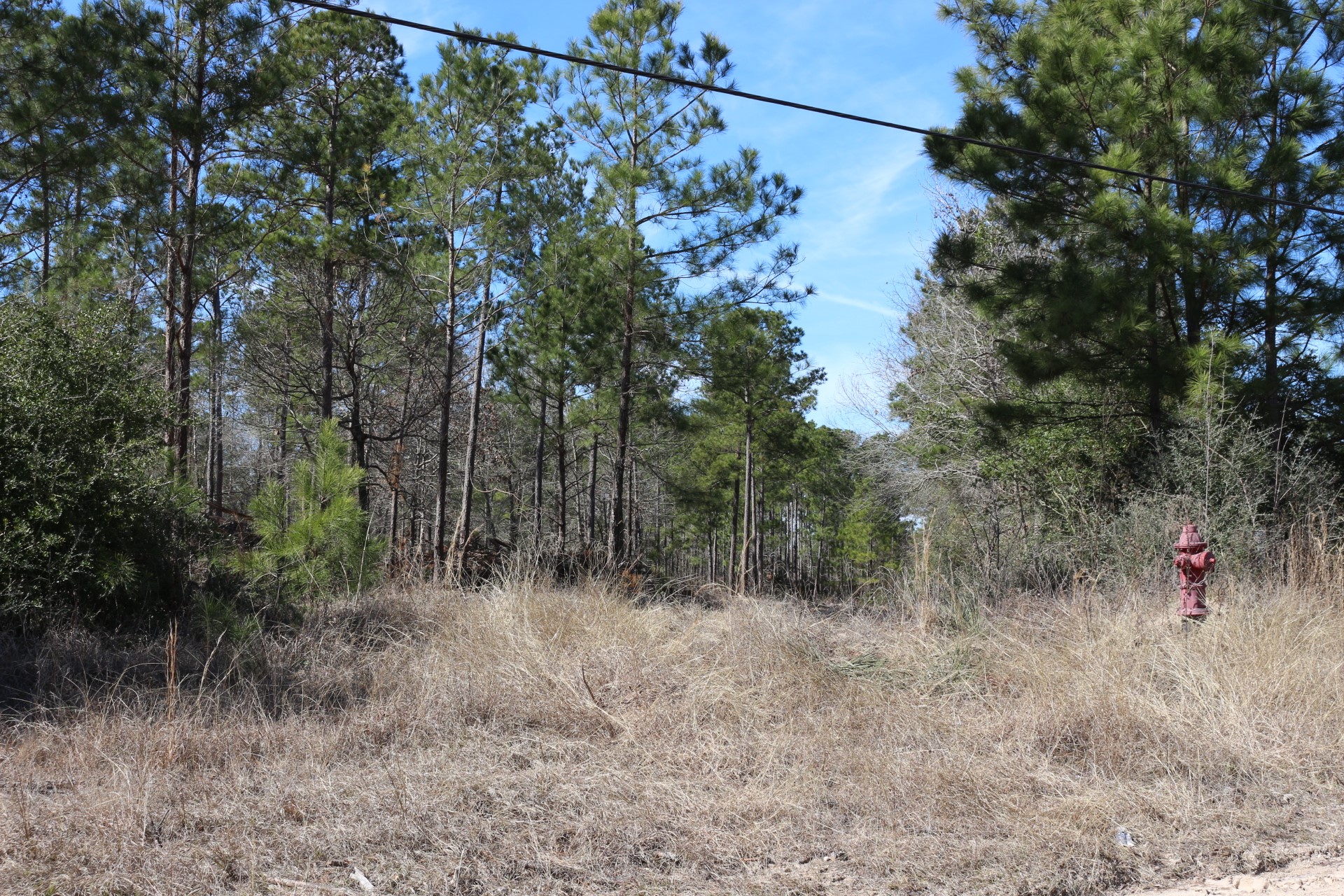 5-2 N HWY 356 , Onalaska, TX, 77360 | 44748278 | Realty Texas LLC