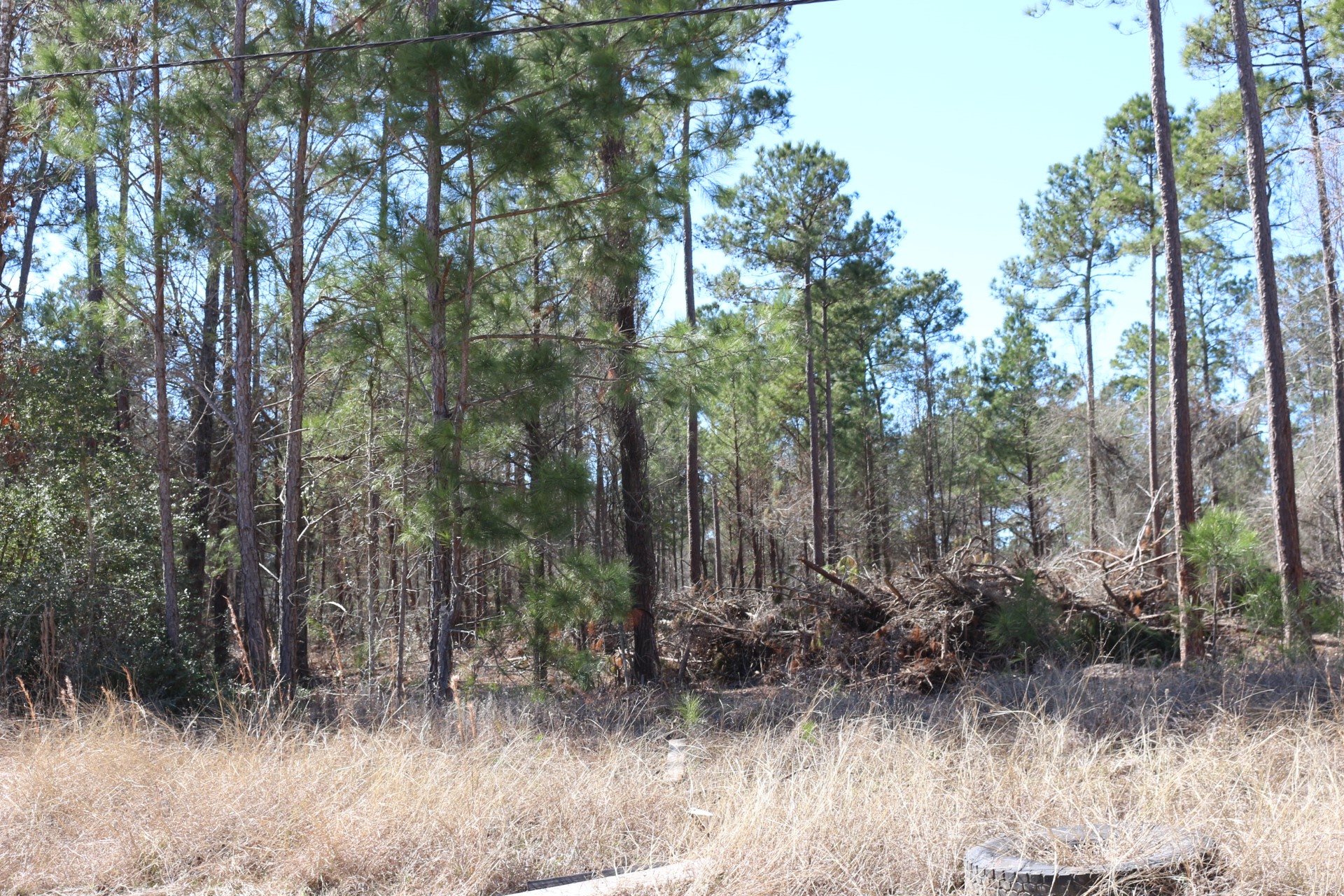 5-2 N HWY 356 , Onalaska, TX, 77360 | 44748278 | Realty Texas LLC