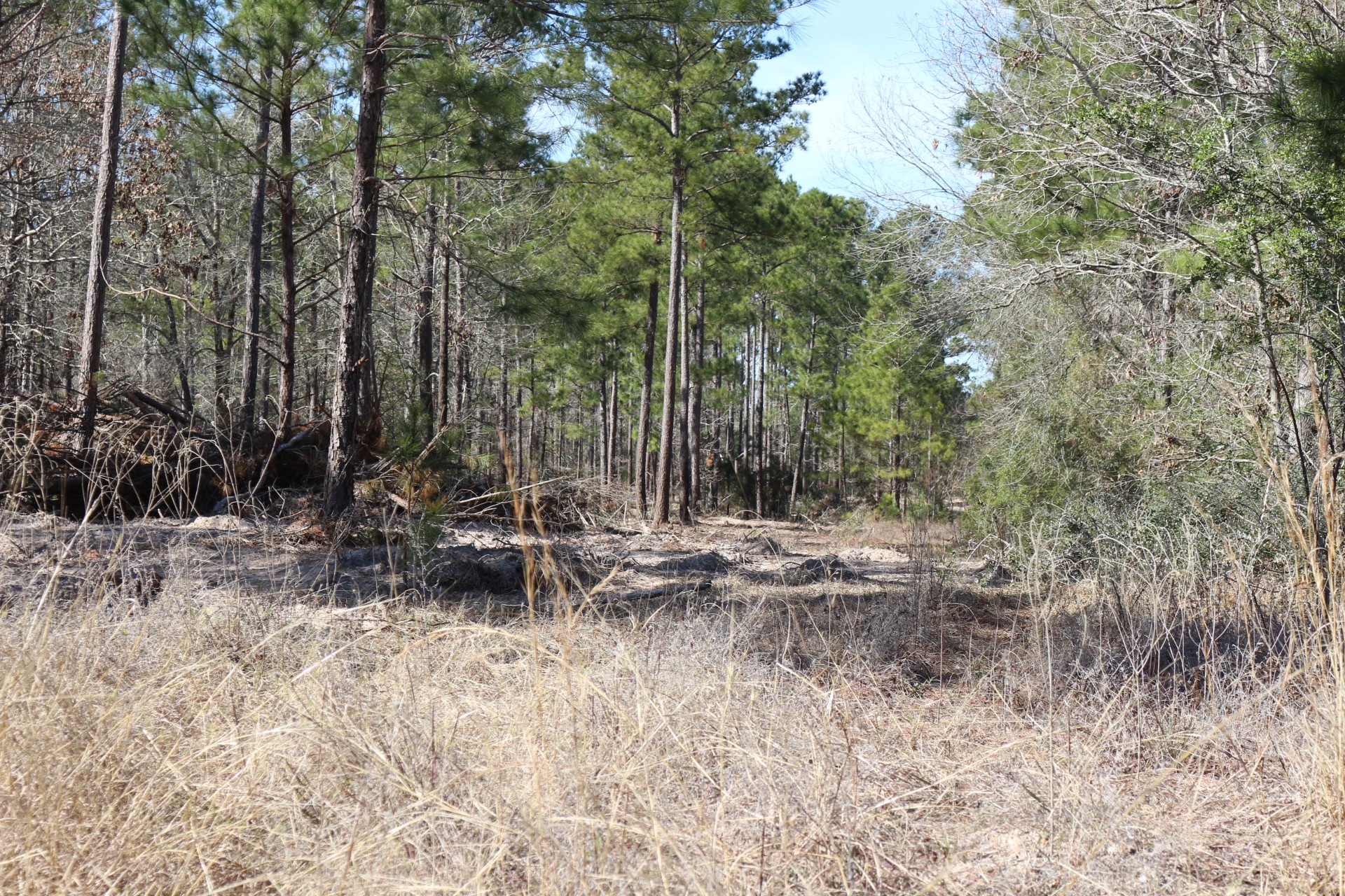 5-2 N HWY 356 , Onalaska, TX, 77360 | 44748278 | Realty Texas LLC
