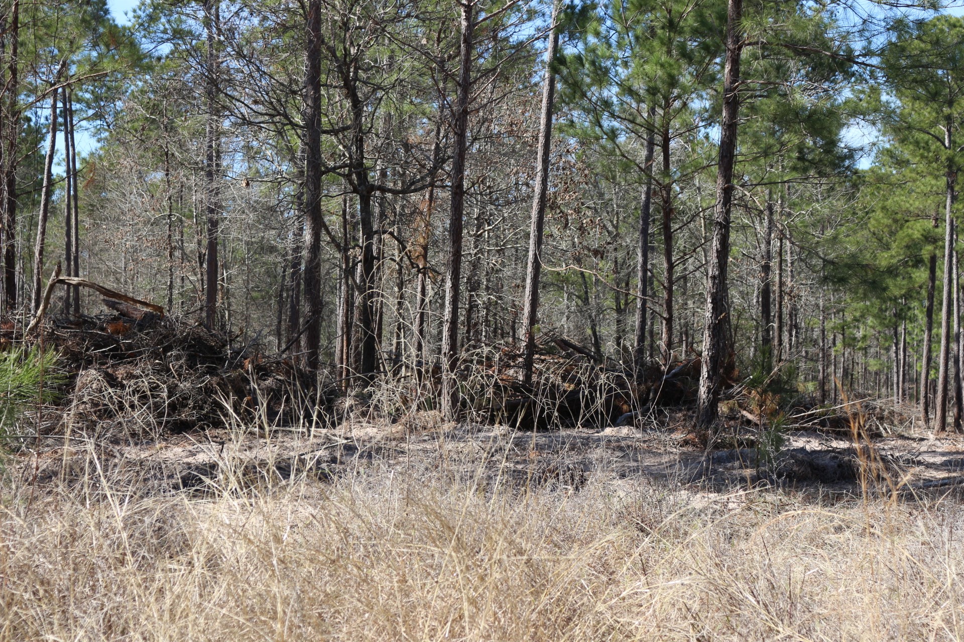 5-2 N HWY 356 , Onalaska, TX, 77360 | 44748278 | Realty Texas LLC
