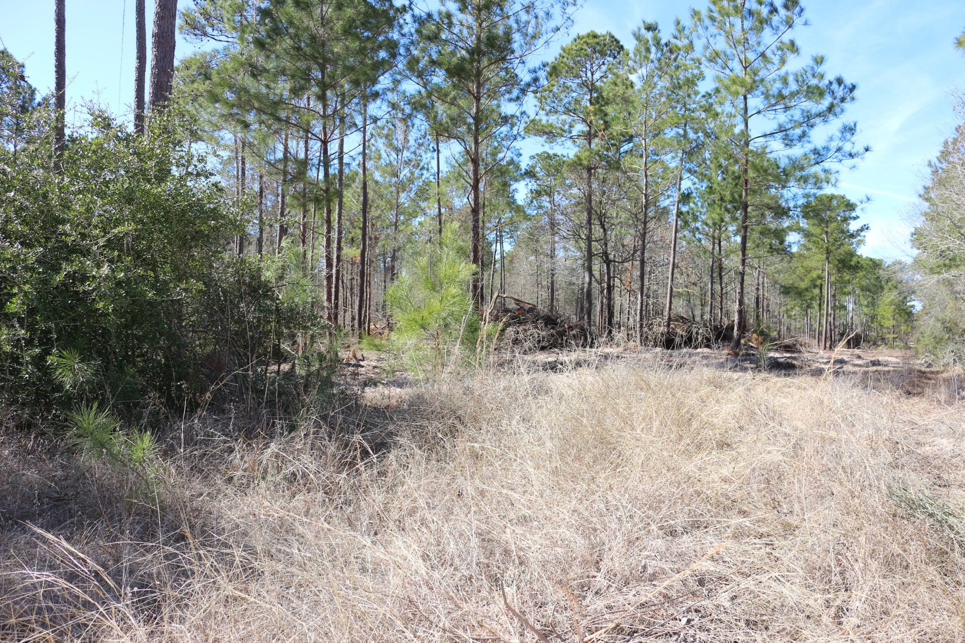 5-2 N HWY 356 , Onalaska, TX, 77360 | 44748278 | Realty Texas LLC
