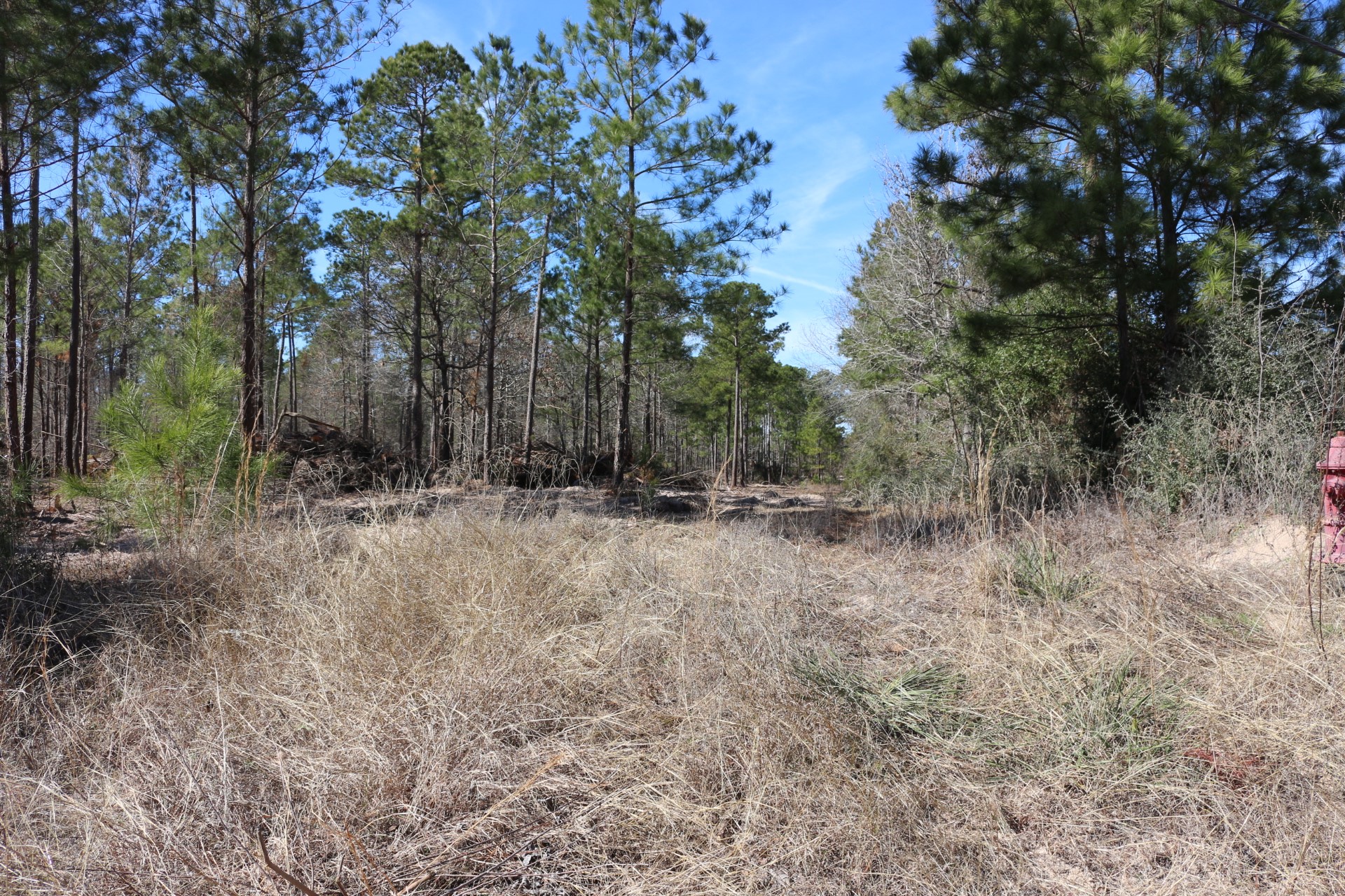 5-2 N HWY 356 , Onalaska, TX, 77360 | 44748278 | Realty Texas LLC