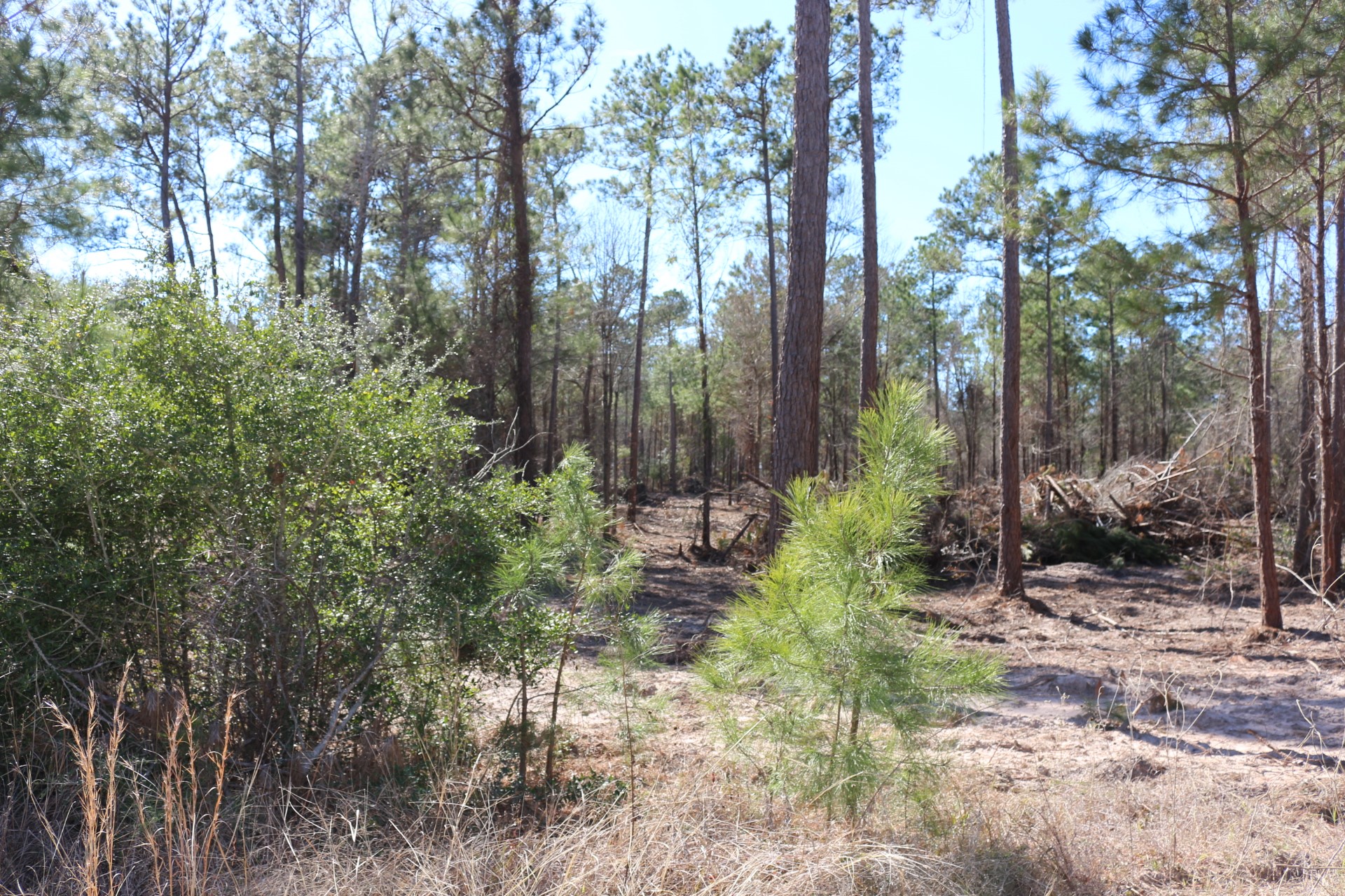 5-2 N HWY 356 , Onalaska, TX, 77360 | 44748278 | Realty Texas LLC