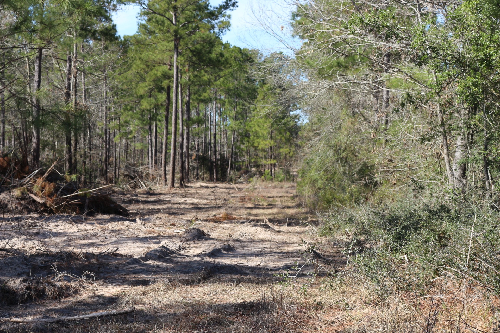 5-2 N HWY 356 , Onalaska, TX, 77360 | 44748278 | Realty Texas LLC