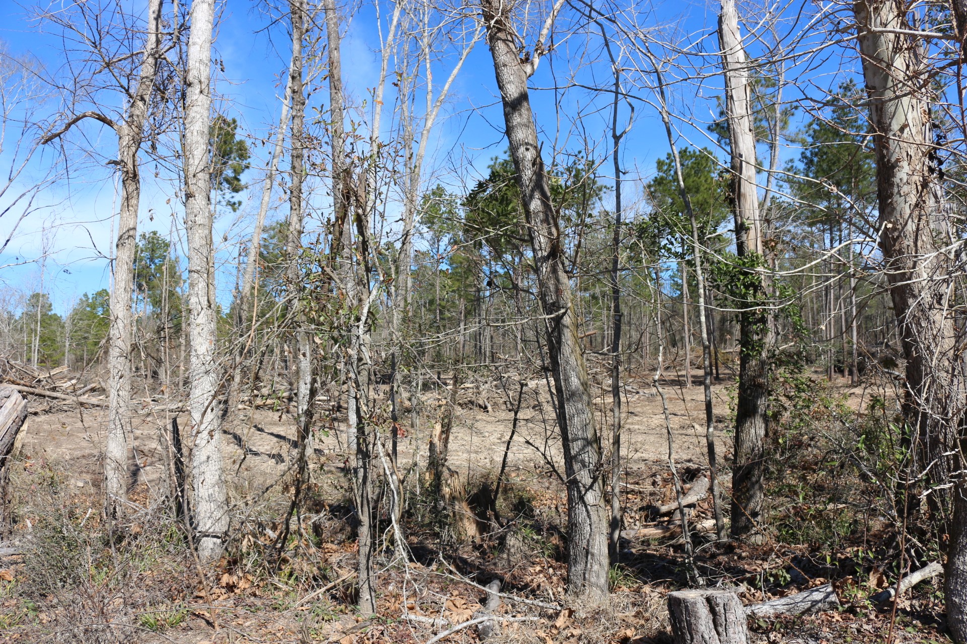 5-2 N HWY 356 , Onalaska, TX, 77360 | 44748278 | Realty Texas LLC