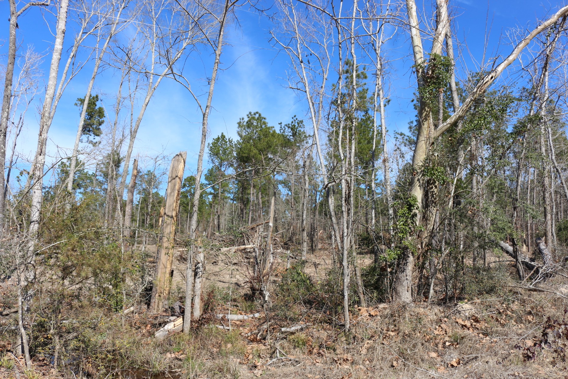 5-2 N HWY 356 , Onalaska, TX, 77360 | 44748278 | Realty Texas LLC