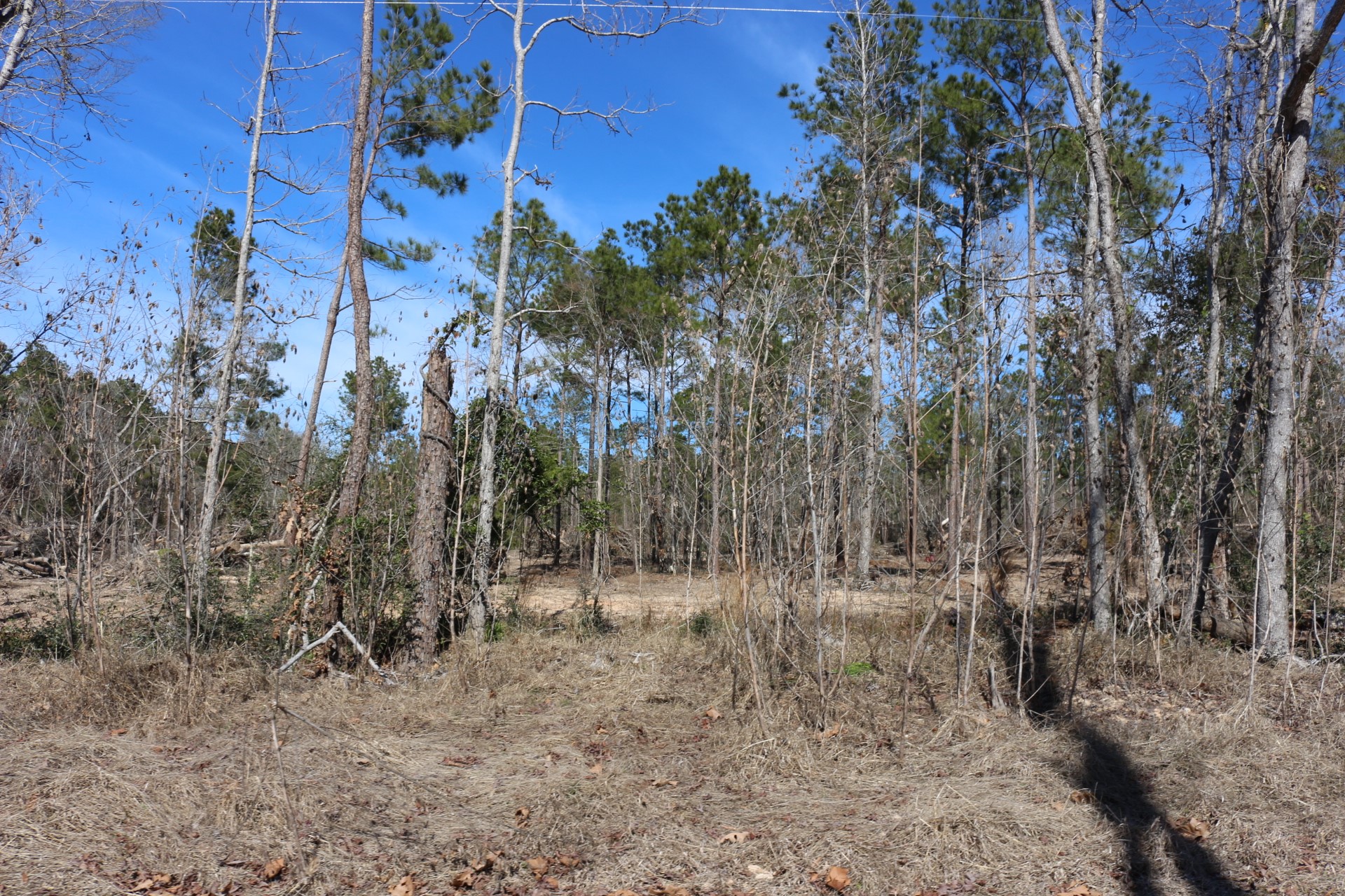 5-2 N HWY 356 , Onalaska, TX, 77360 | 44748278 | Realty Texas LLC