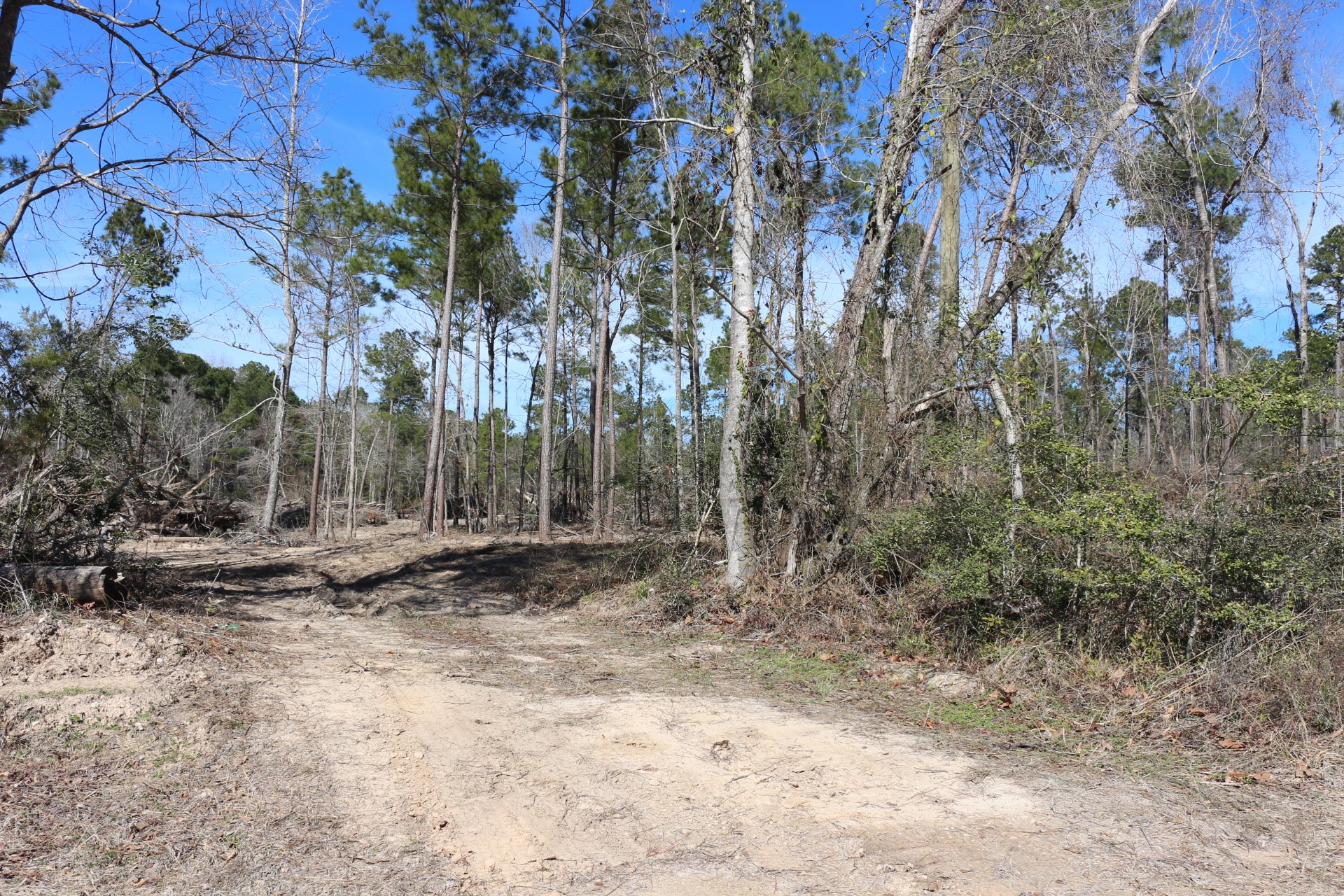 5-2 N HWY 356 , Onalaska, TX, 77360 | 44748278 | Realty Texas LLC