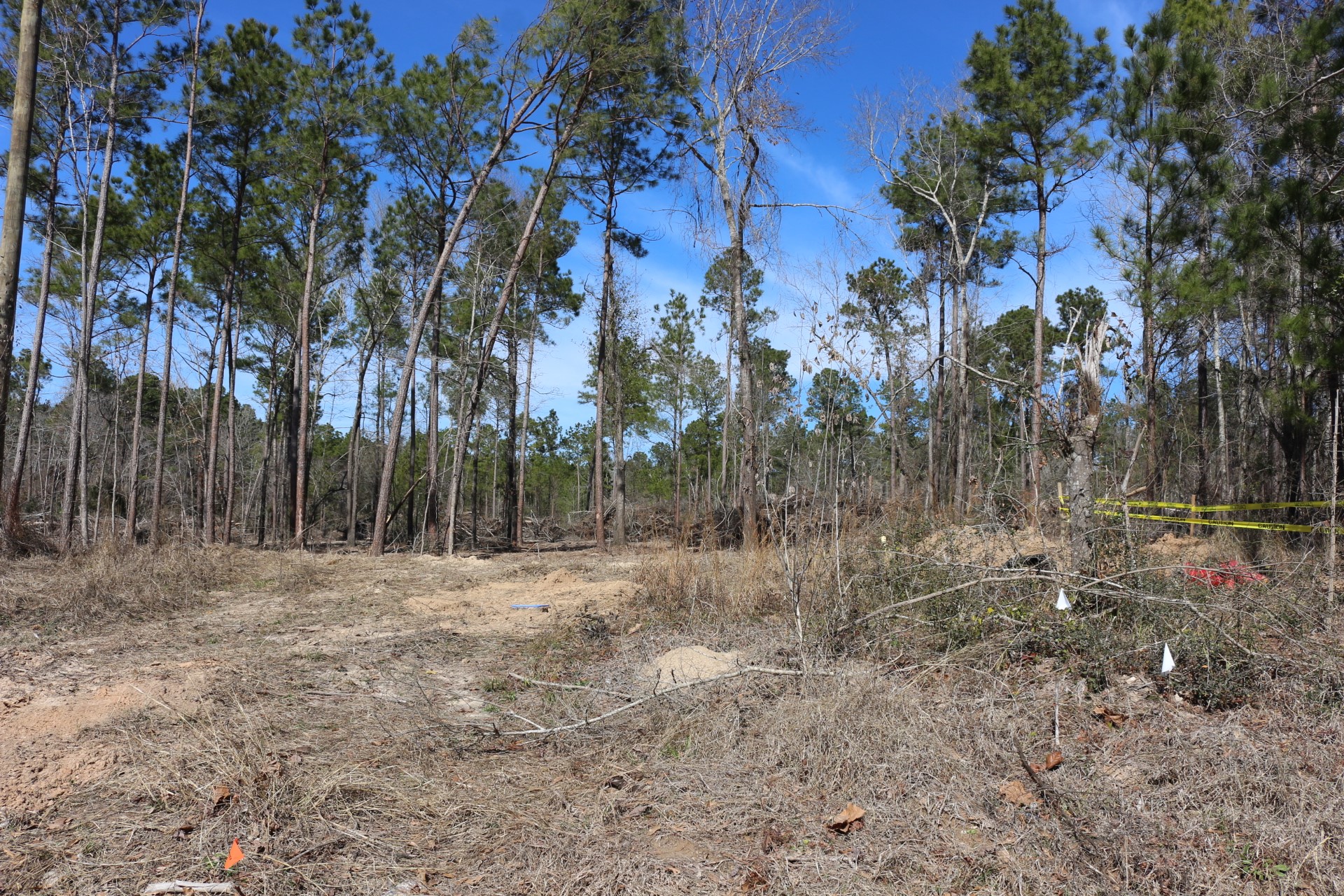 5-2 N HWY 356 , Onalaska, TX, 77360 | 44748278 | Realty Texas LLC