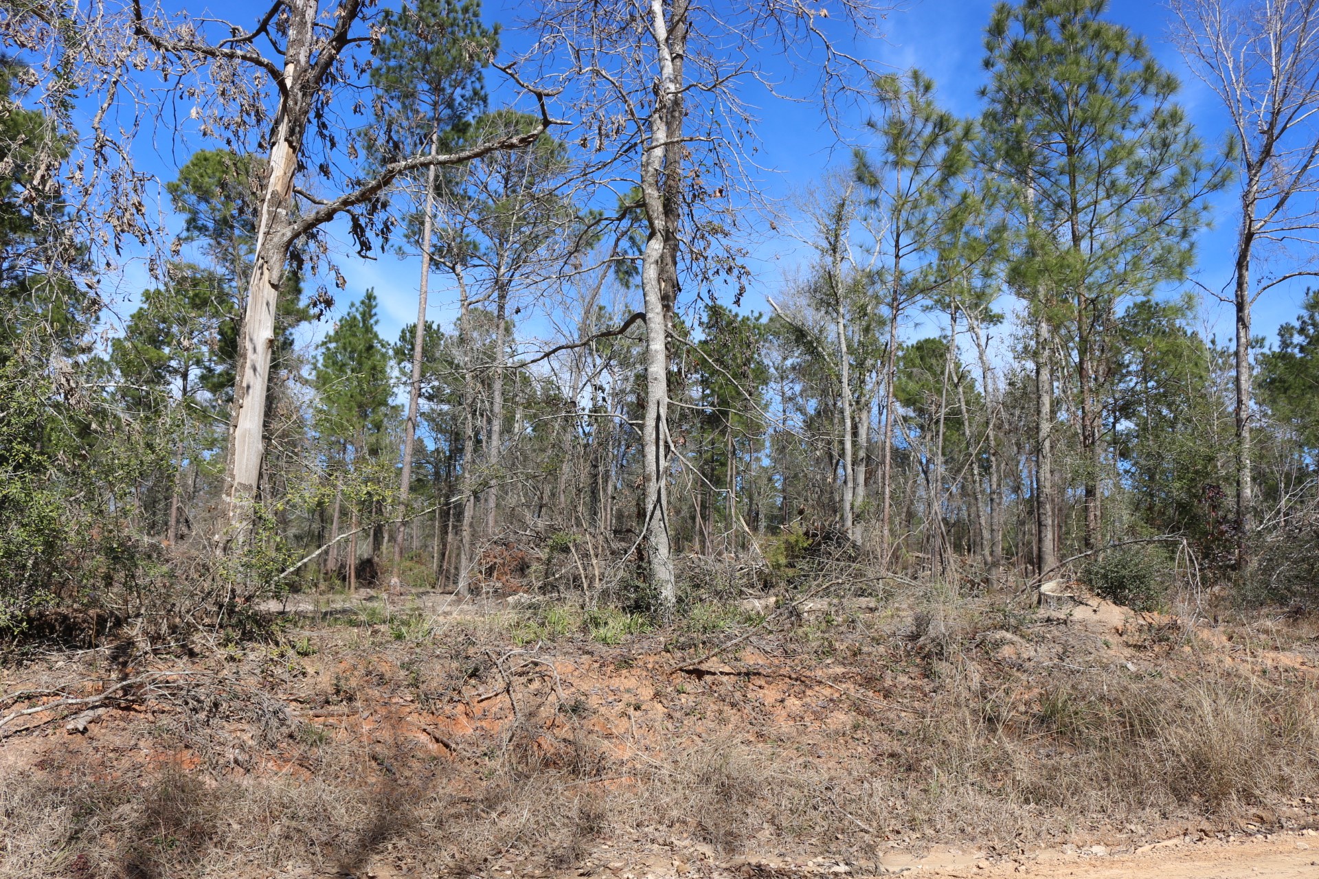 5-2 N HWY 356 , Onalaska, TX, 77360 | 44748278 | Realty Texas LLC