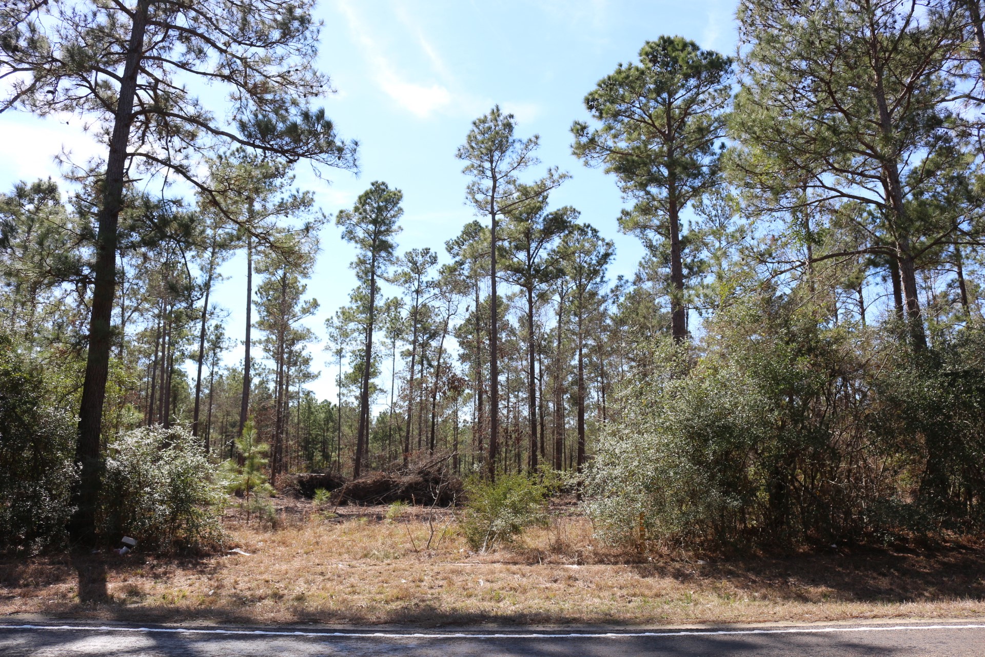 5-2 N HWY 356 , Onalaska, TX, 77360 | 44748278 | Realty Texas LLC