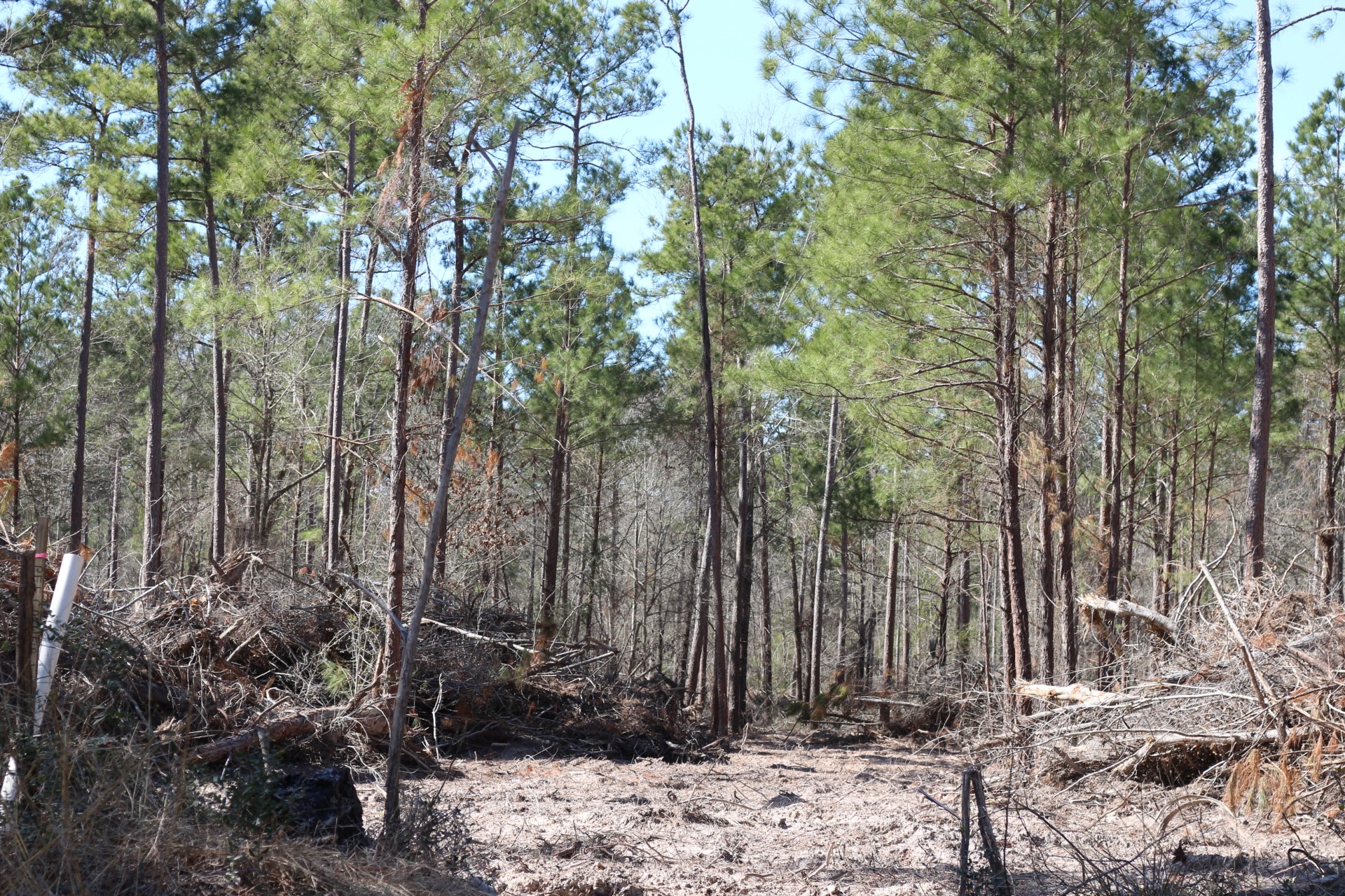 5-2 N HWY 356 , Onalaska, TX, 77360 | 44748278 | Realty Texas LLC