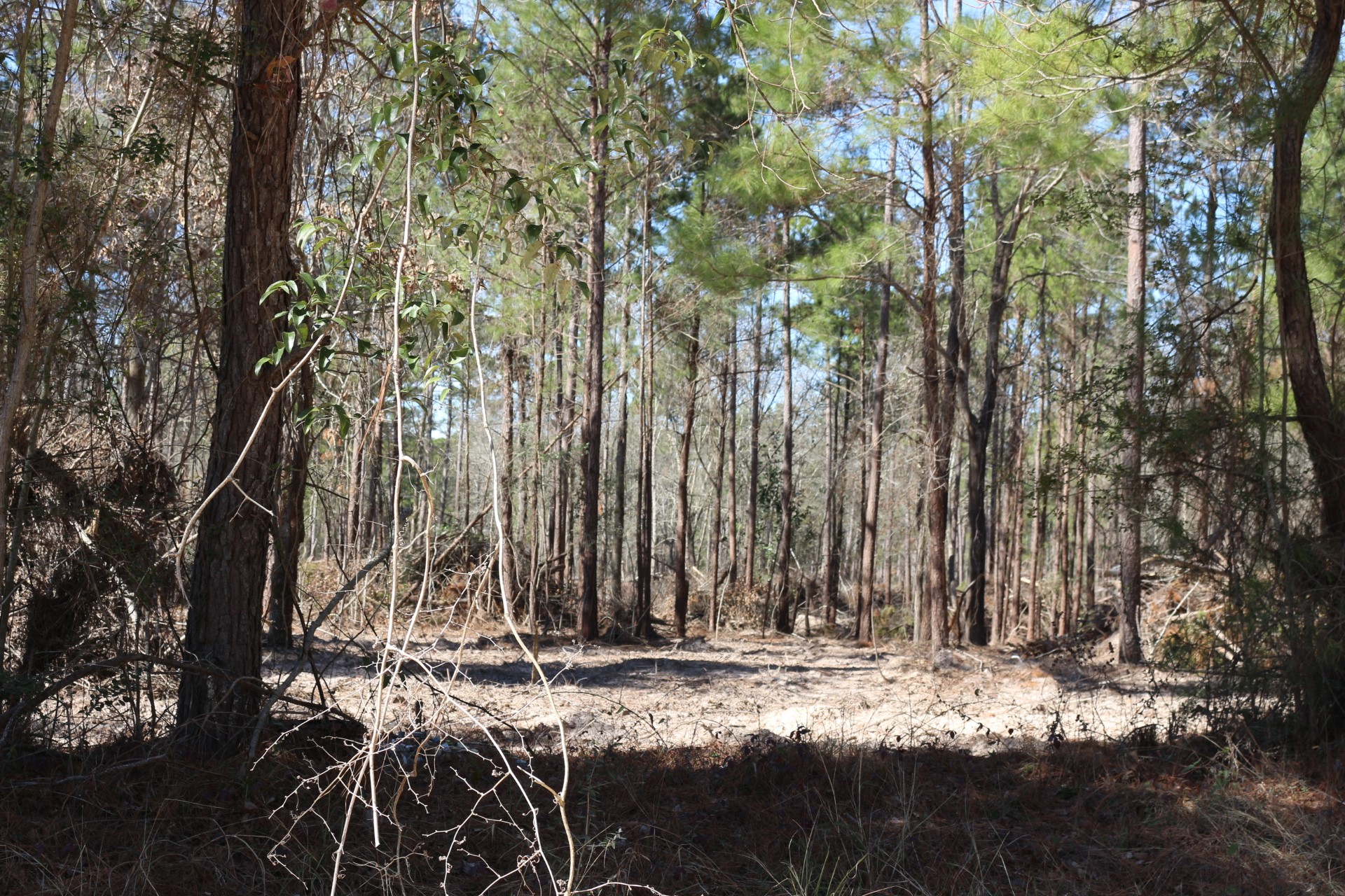 5-2 N HWY 356 , Onalaska, TX, 77360 | 44748278 | Realty Texas LLC