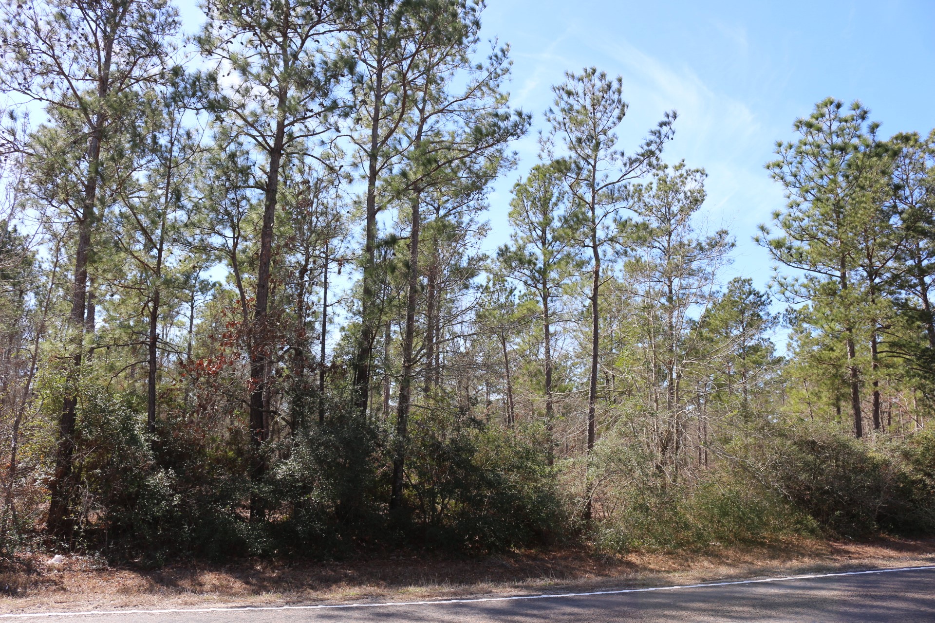 3-1 N HWY 356 , Onalaska, TX, 77360 | 64214791 | Realty Texas LLC