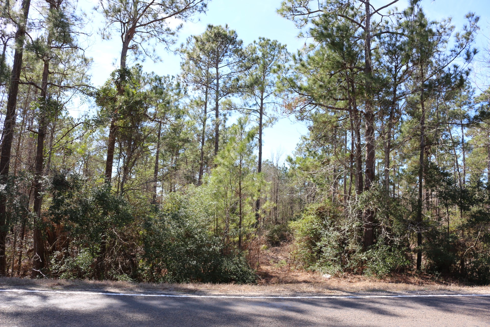 3-1 N HWY 356 , Onalaska, TX, 77360 | 64214791 | Realty Texas LLC