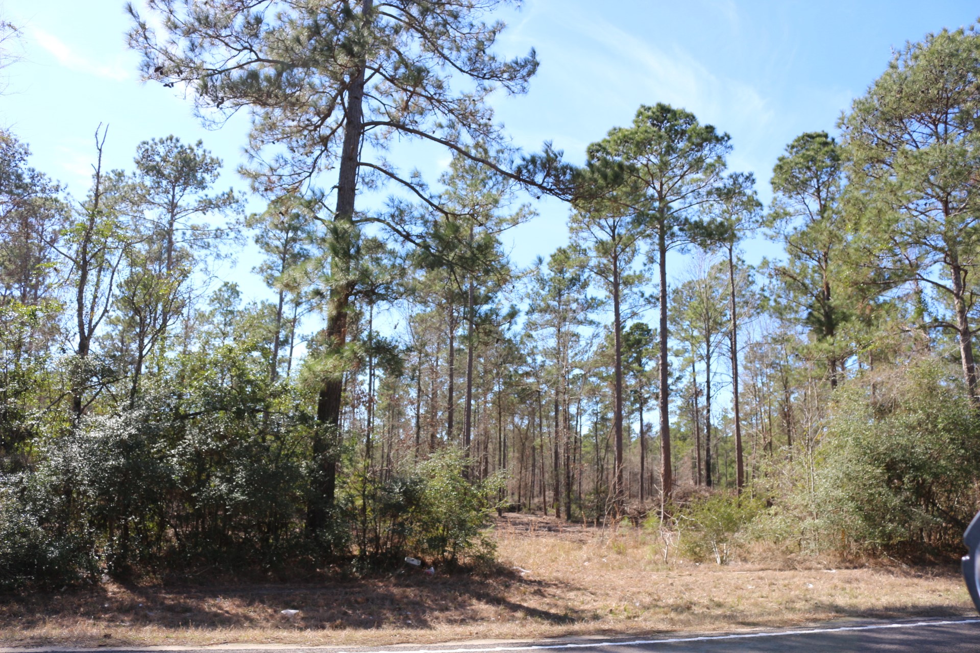 3-1 N HWY 356 , Onalaska, TX, 77360 | 64214791 | Realty Texas LLC