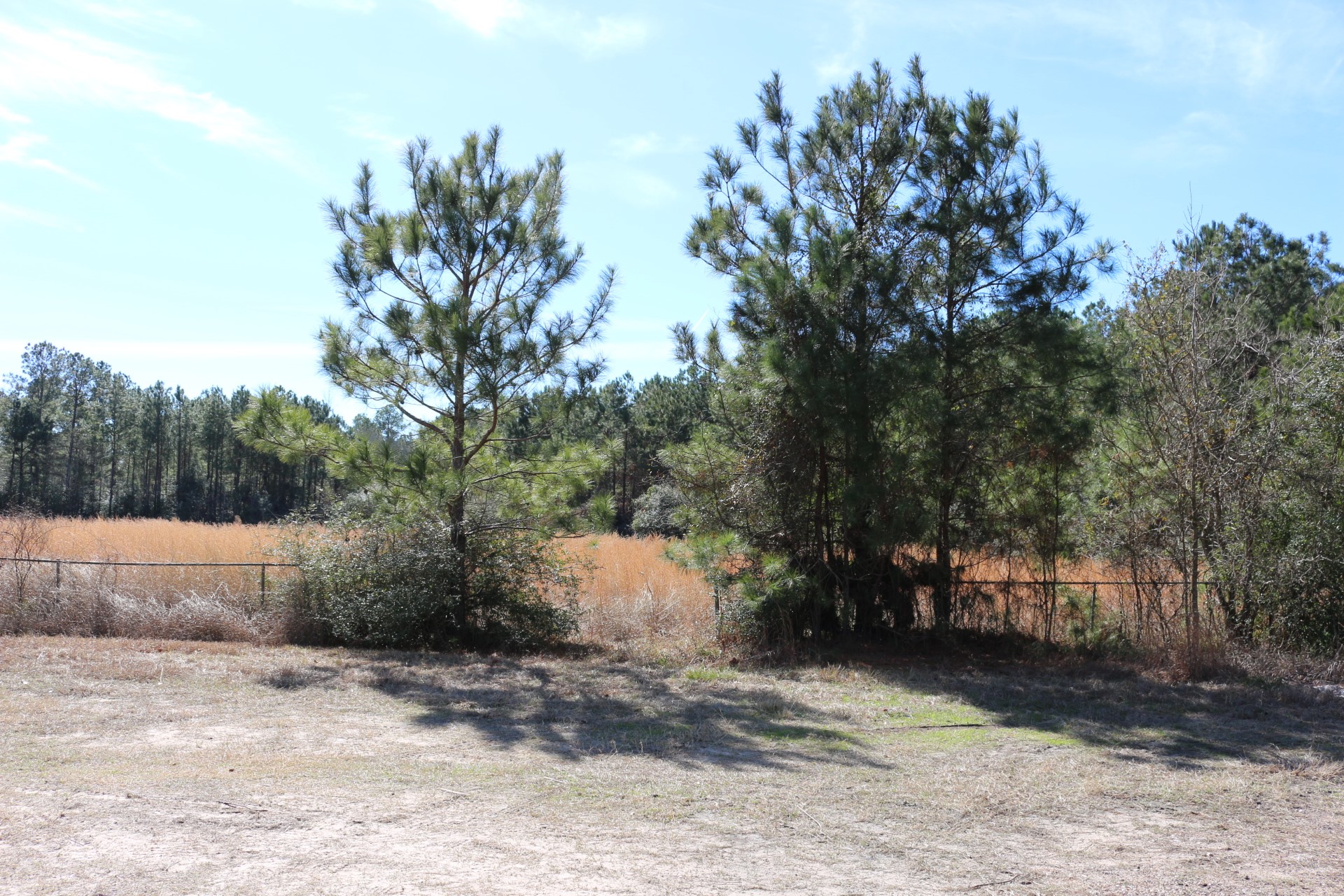 3-1 N HWY 356 , Onalaska, TX, 77360 | 64214791 | Realty Texas LLC