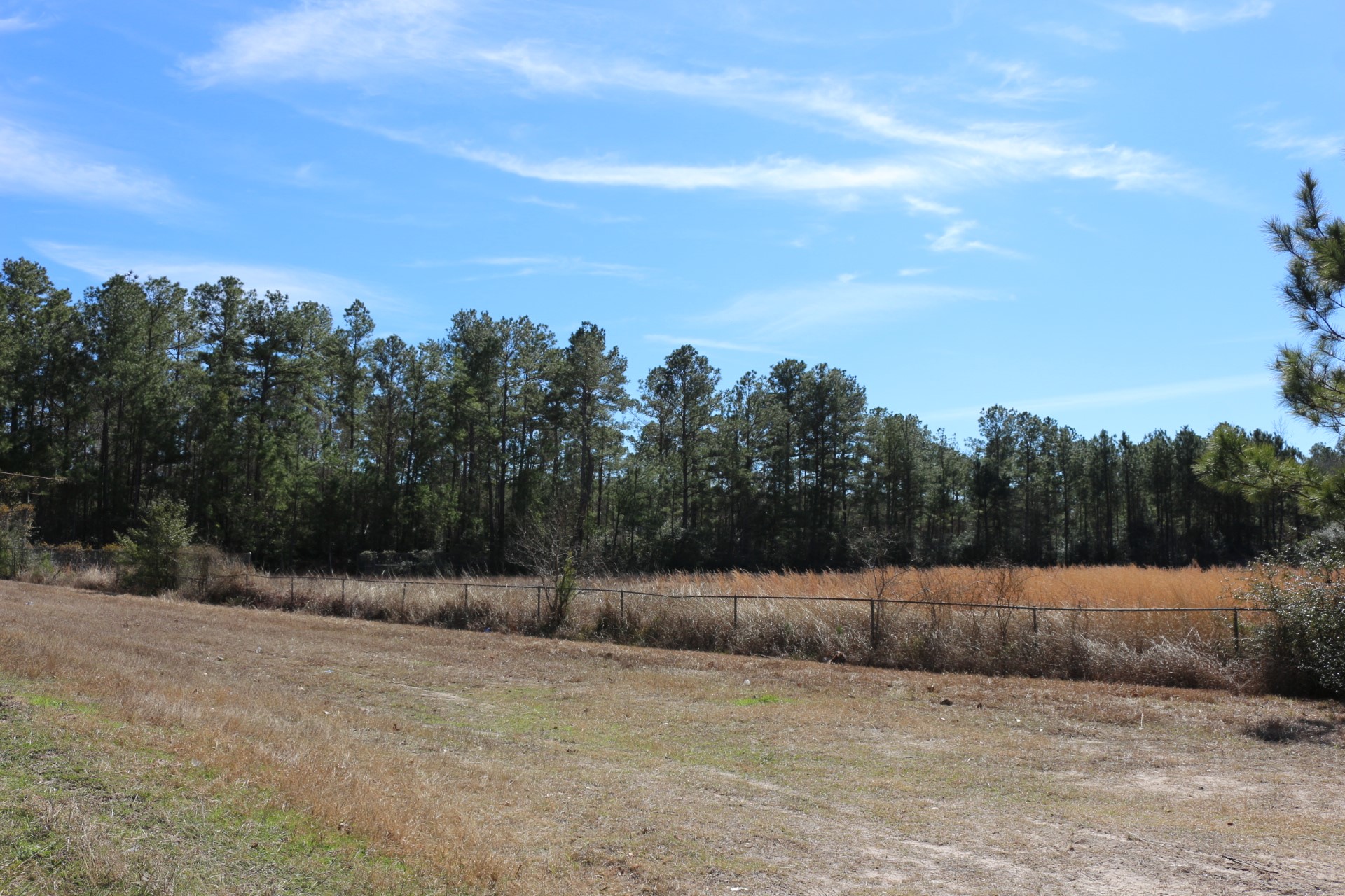 3-1 N HWY 356 , Onalaska, TX, 77360 | 64214791 | Realty Texas LLC