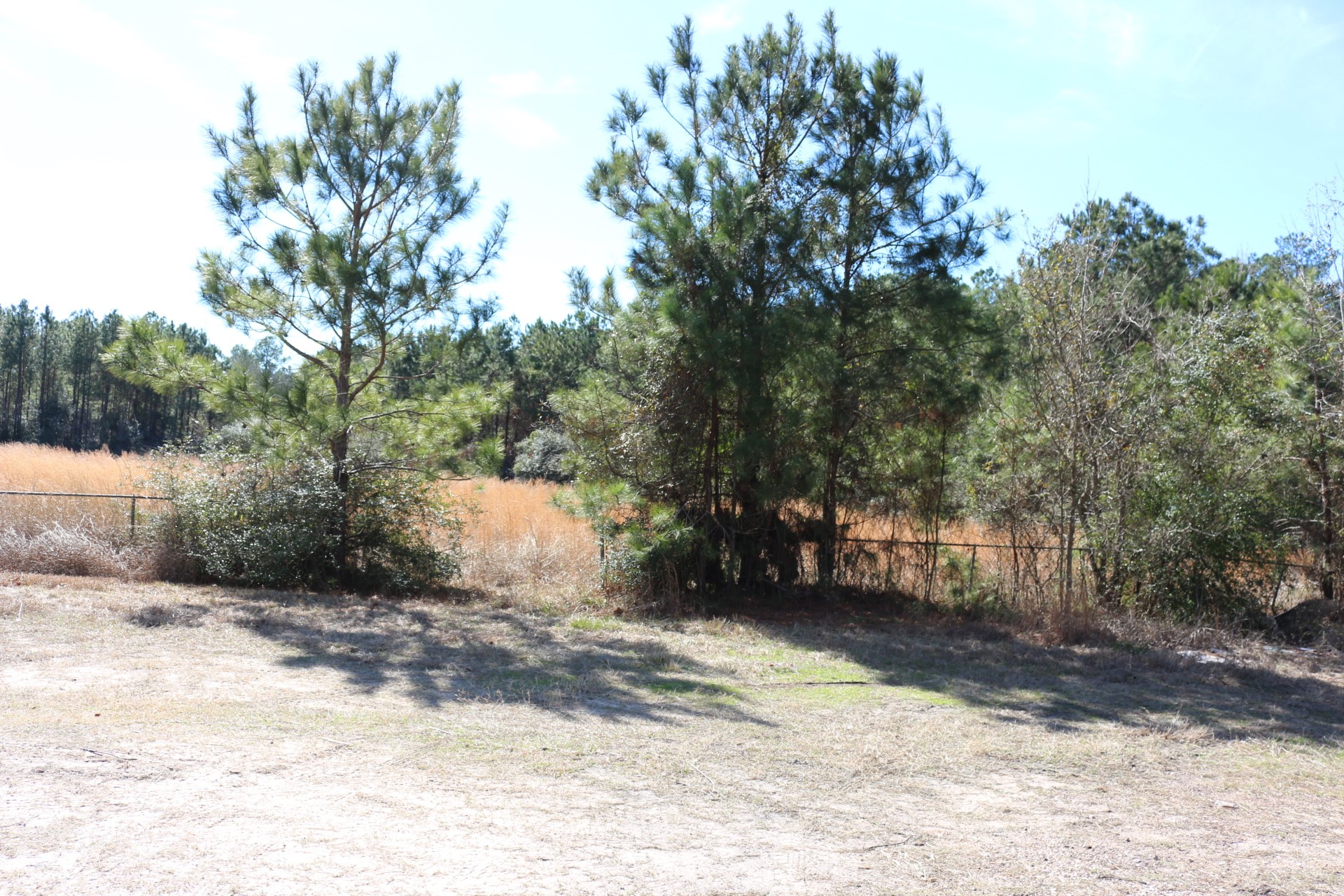3-1 N HWY 356 , Onalaska, TX, 77360 | 64214791 | Realty Texas LLC