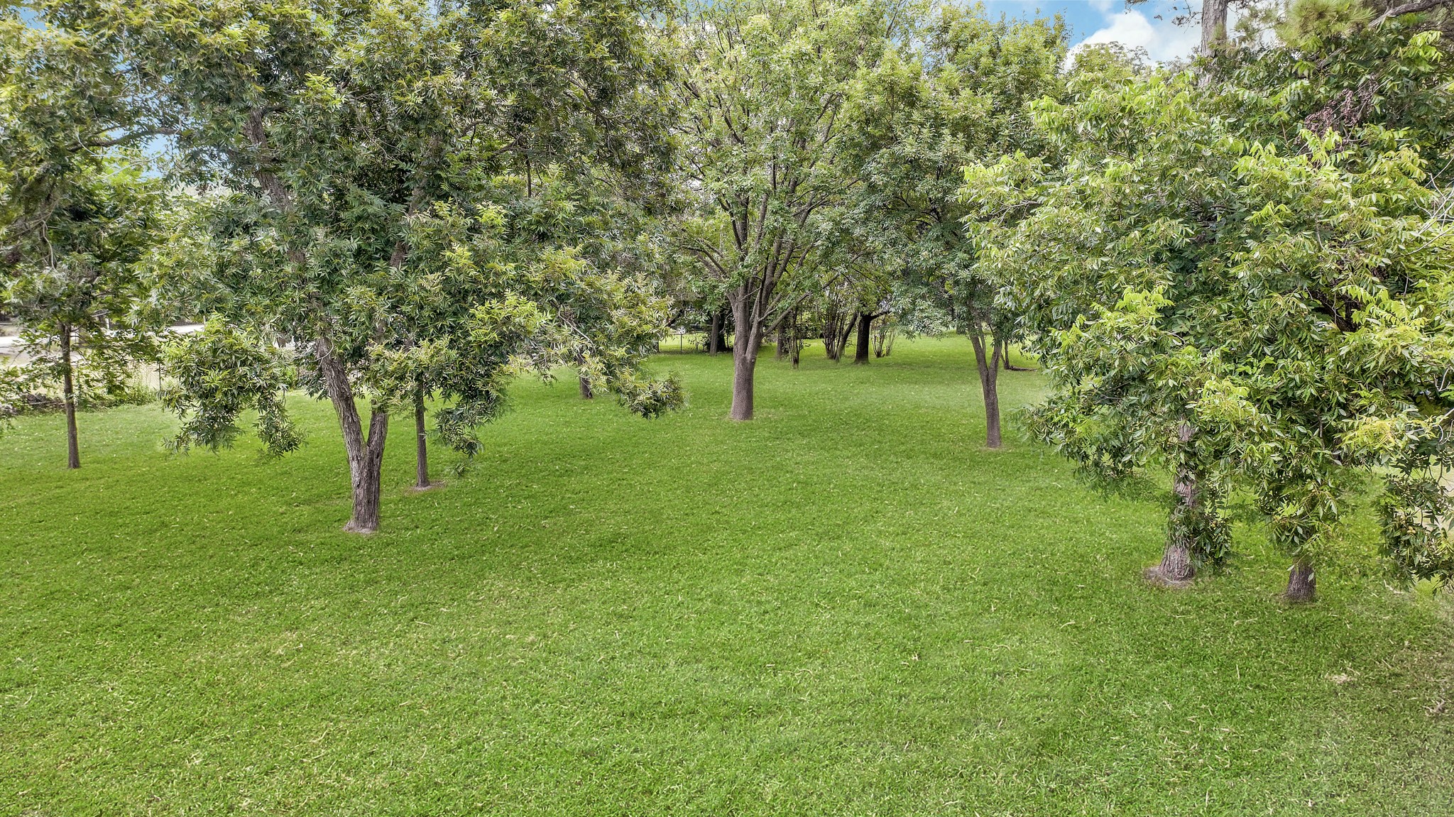 0000000 Veller Drive , Houston, TX, 77032 | 11750477 | Realty Texas LLC