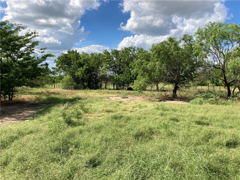 Prt Rd off CR 210 , Hico, TX, 76457 | 7970179 | Realty Texas LLC